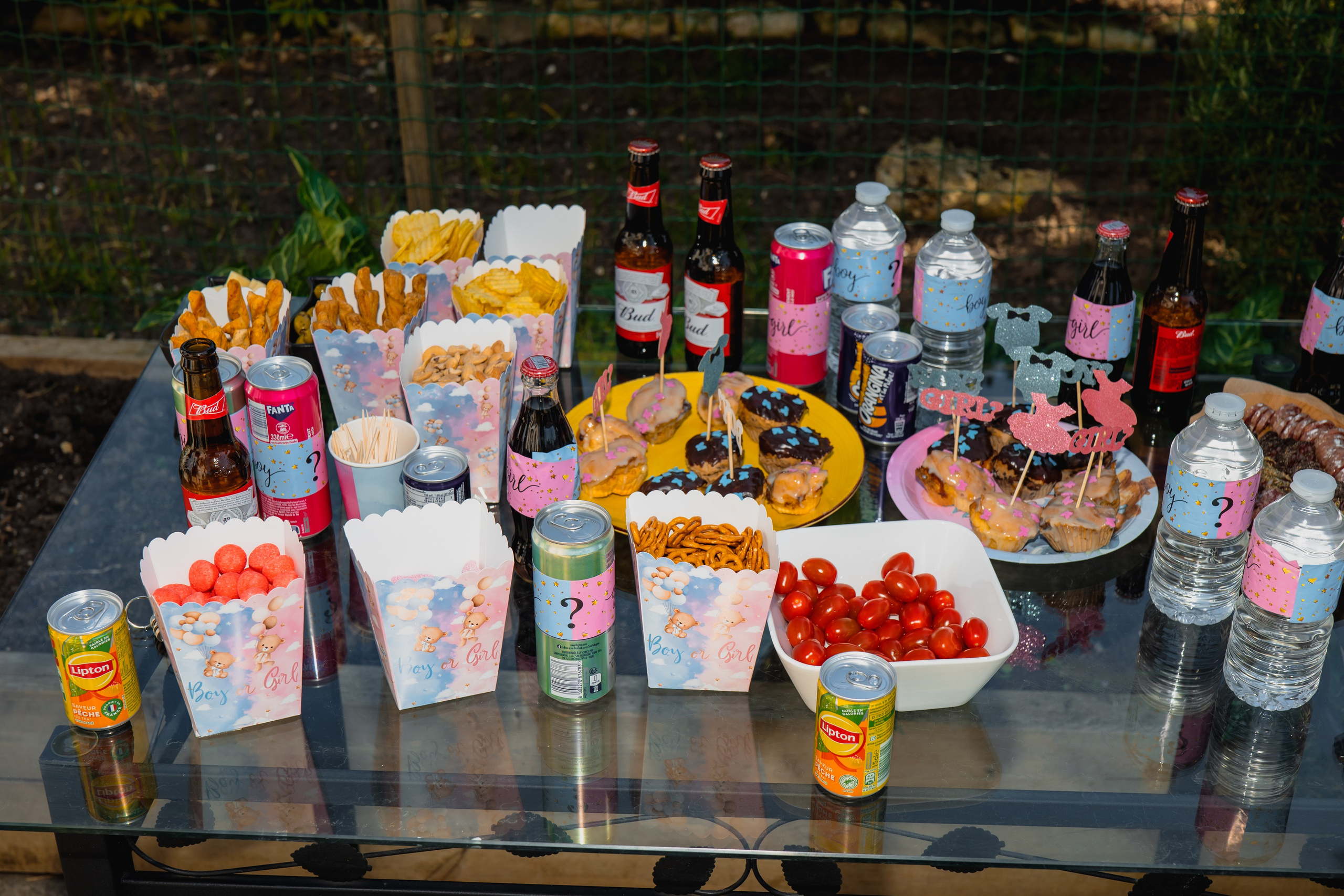 Gender Party Isabela & Laurentiu. Fotograful și Cameramanul familiei dvs în Franța Paul Photographer