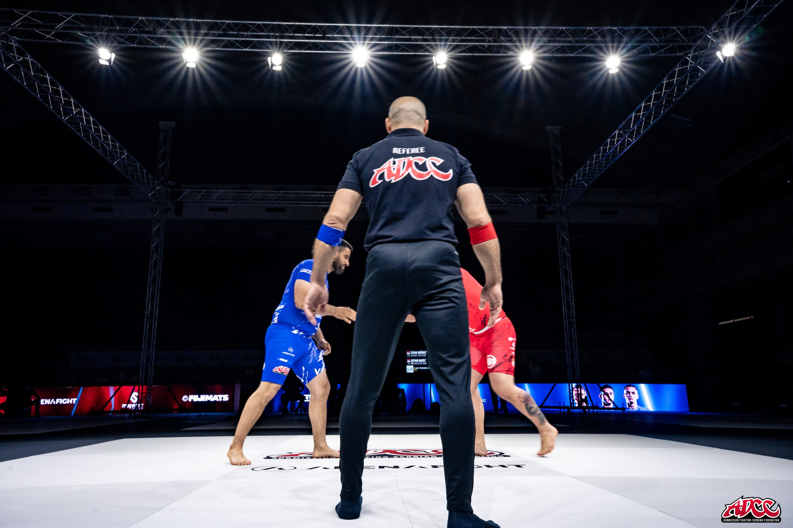 Sport. Wedding photography