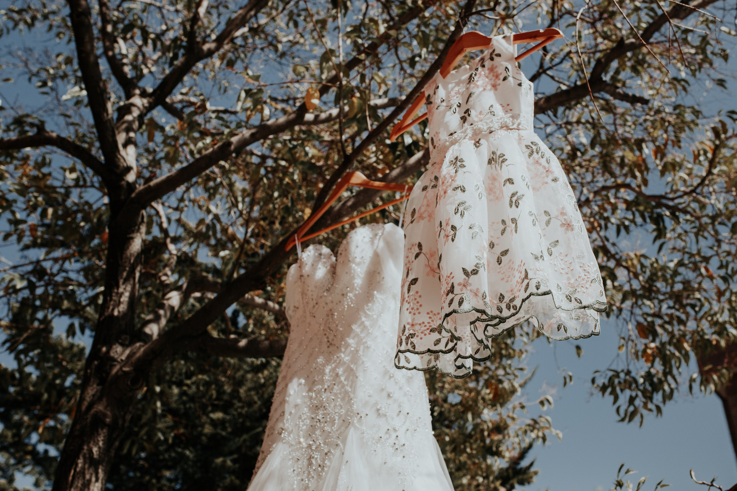 Fotografía de Bodas en Madrid - Rainbox: Capturamos Tu Amor con Pasión. Rainbox Estudio de Fotografía