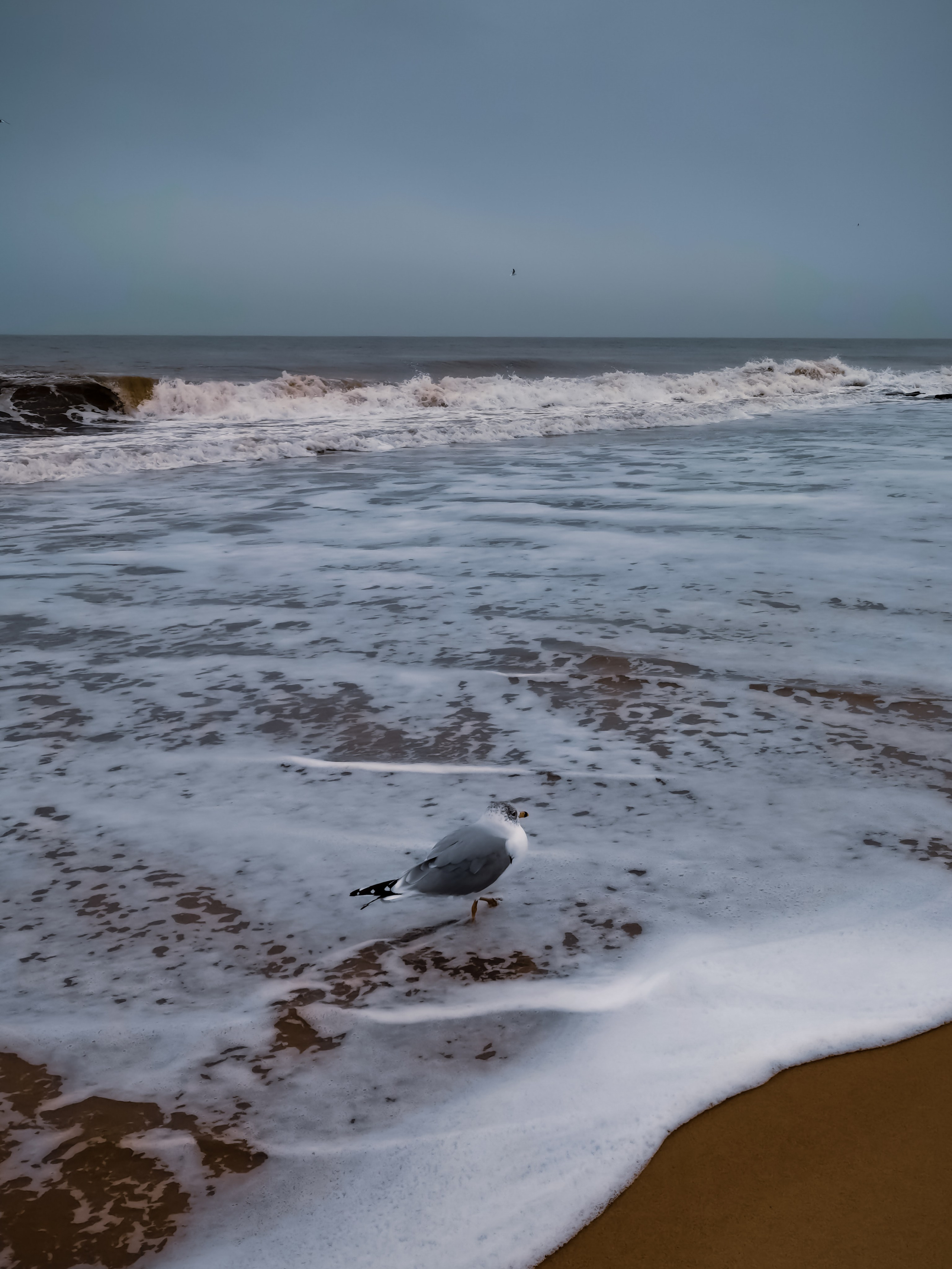 Atlantic Ocean and photo with dreams. Victoria Fedoseenko. Photographer from Serbia