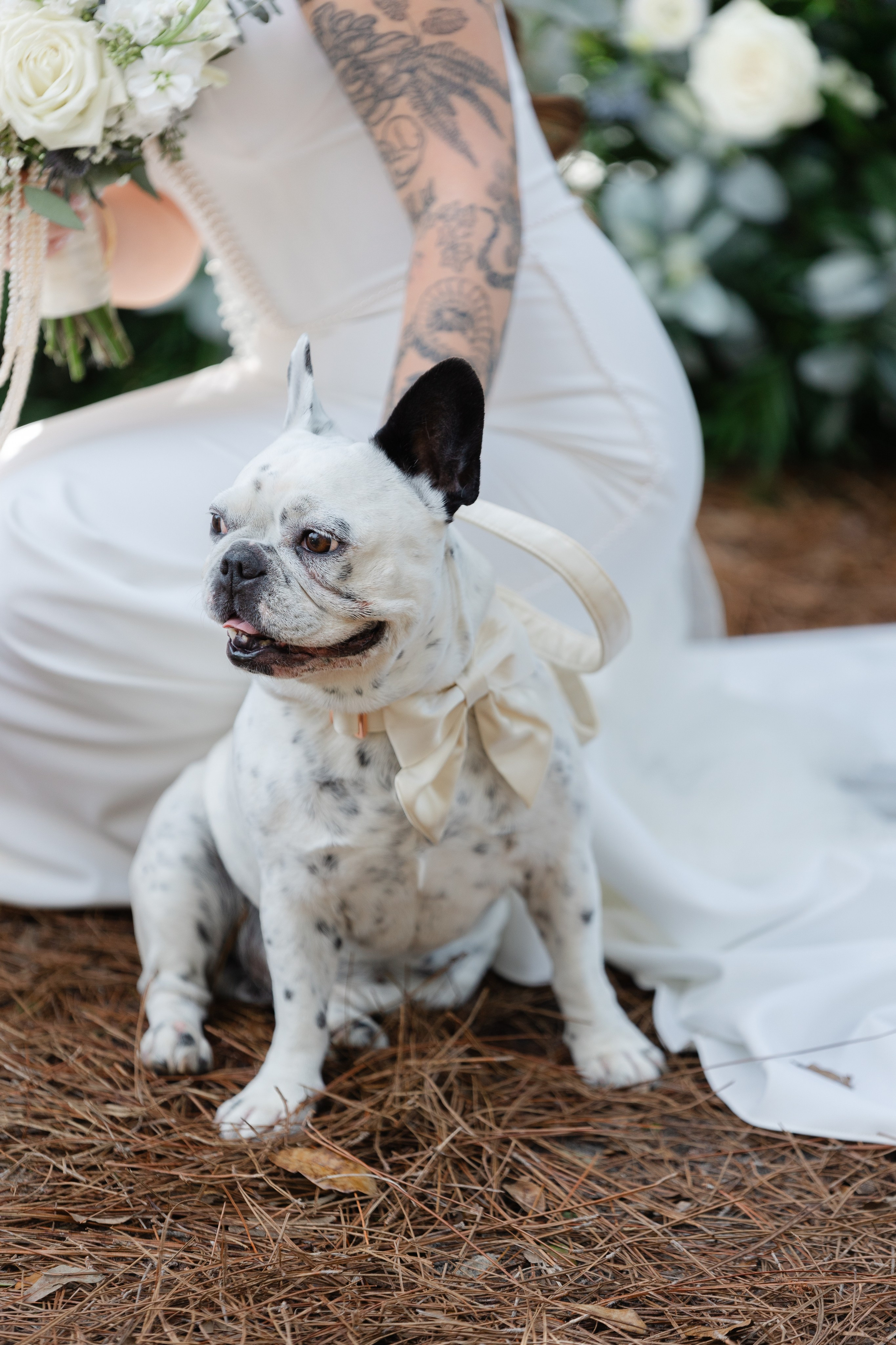 LGBT wedding Katie & Dana. My name is Kate and I am family and wedding photographer