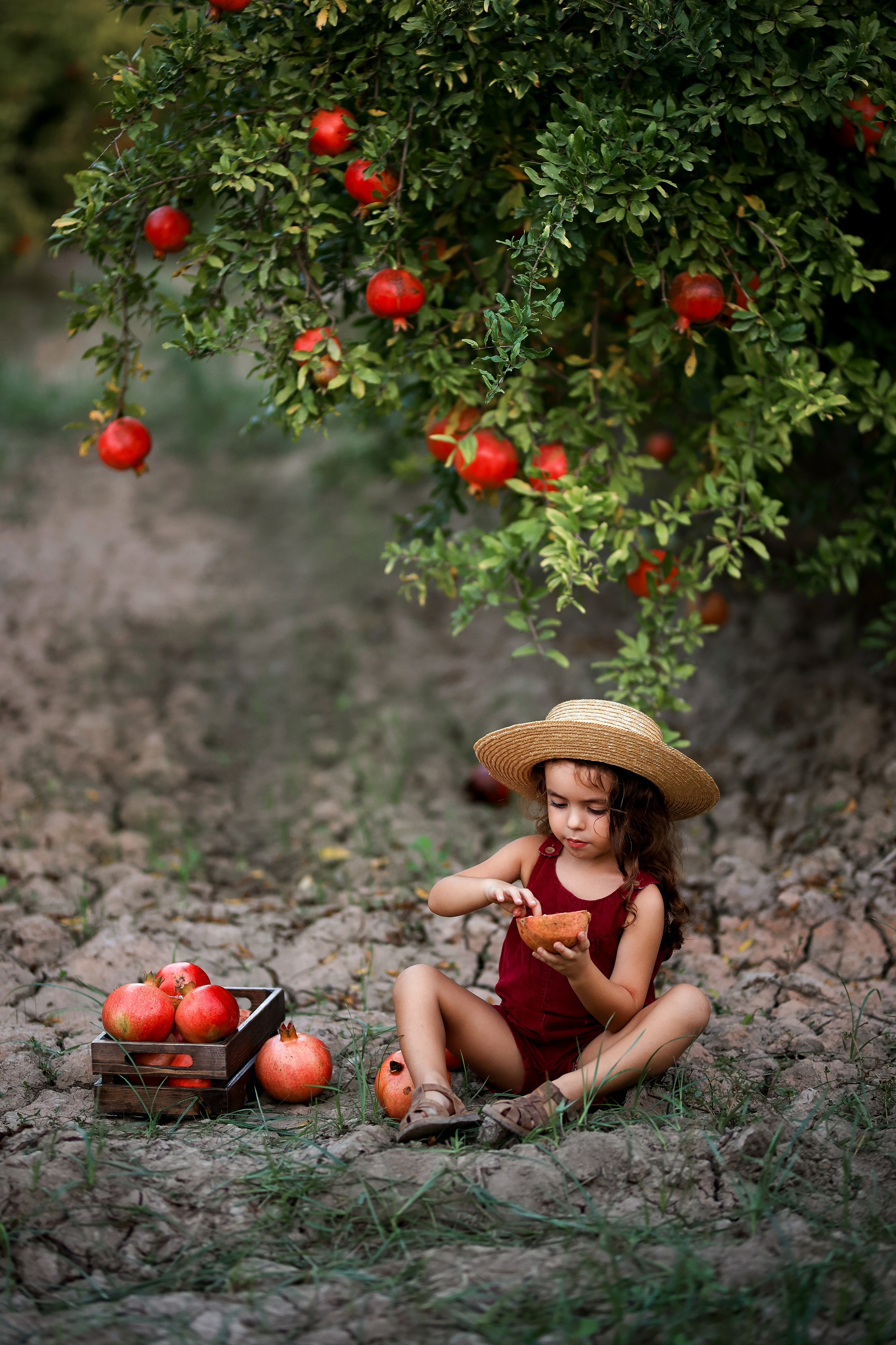 Photoshooting in pomegranate garden. Photographer in Turkey, Antalya, Kemer, Belek, Side, Kas, Fethiye