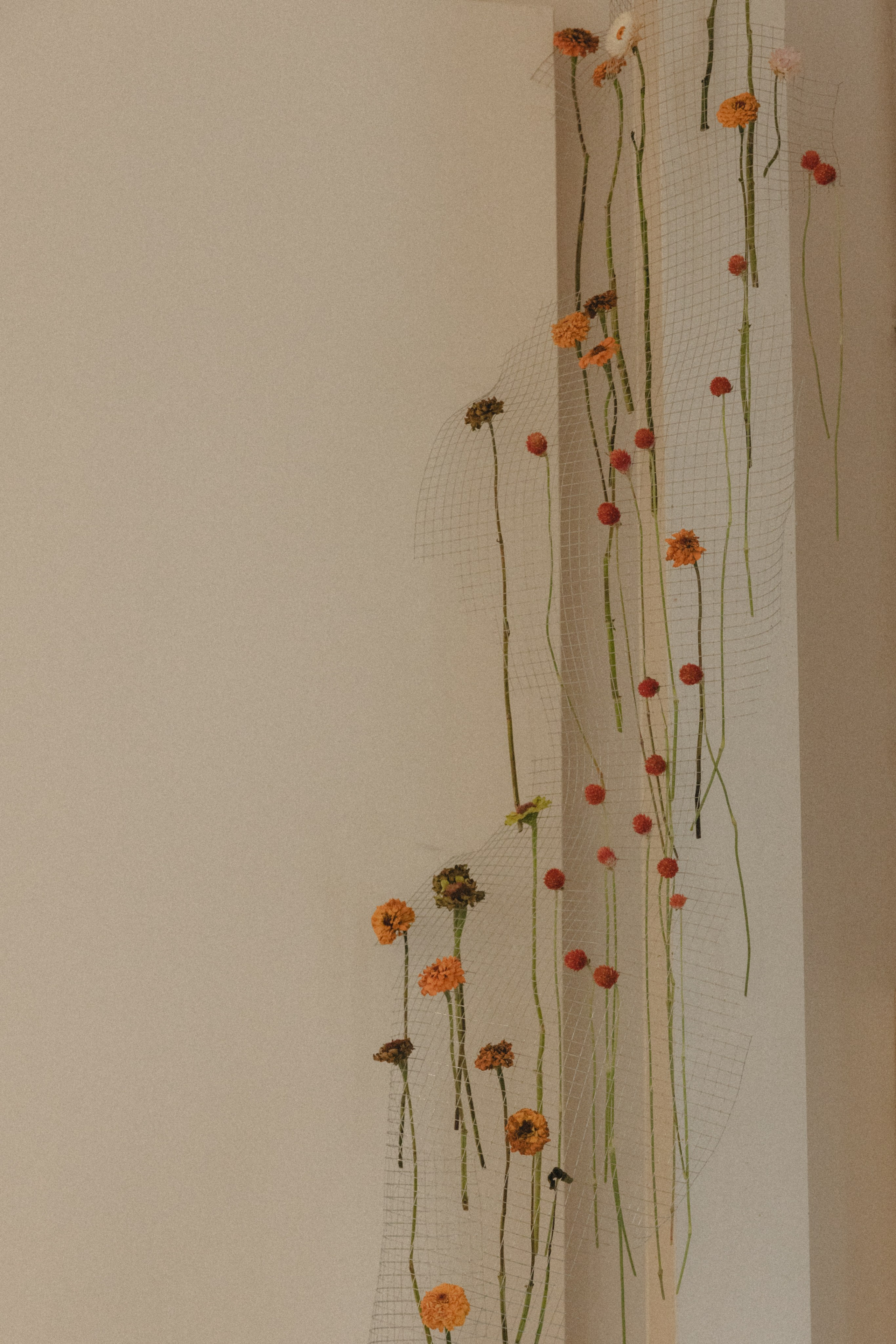 Photography: Kamila Solarz