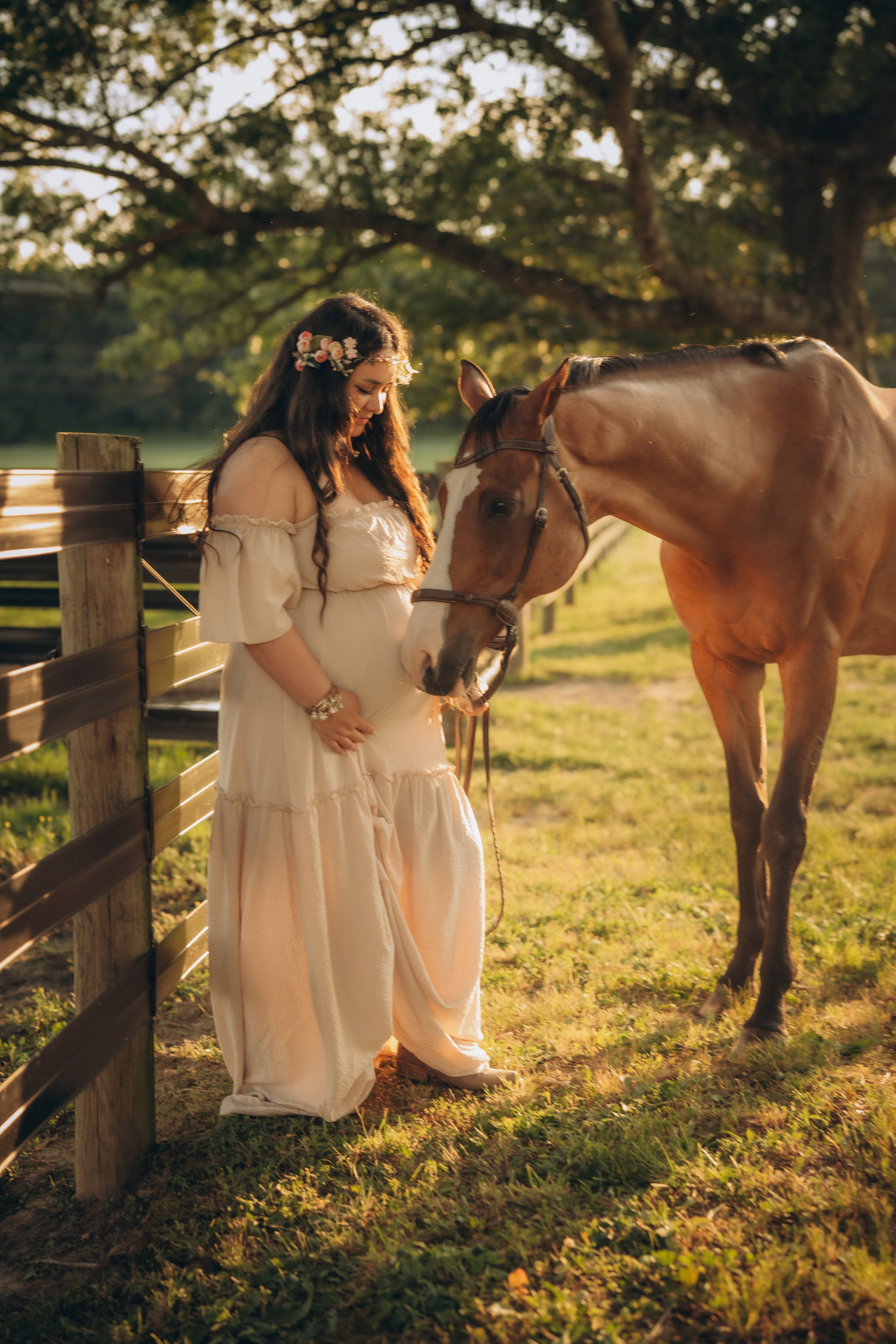 Photoshoot with a Horse. Lifestyle Family Photographer in Pennsylvania