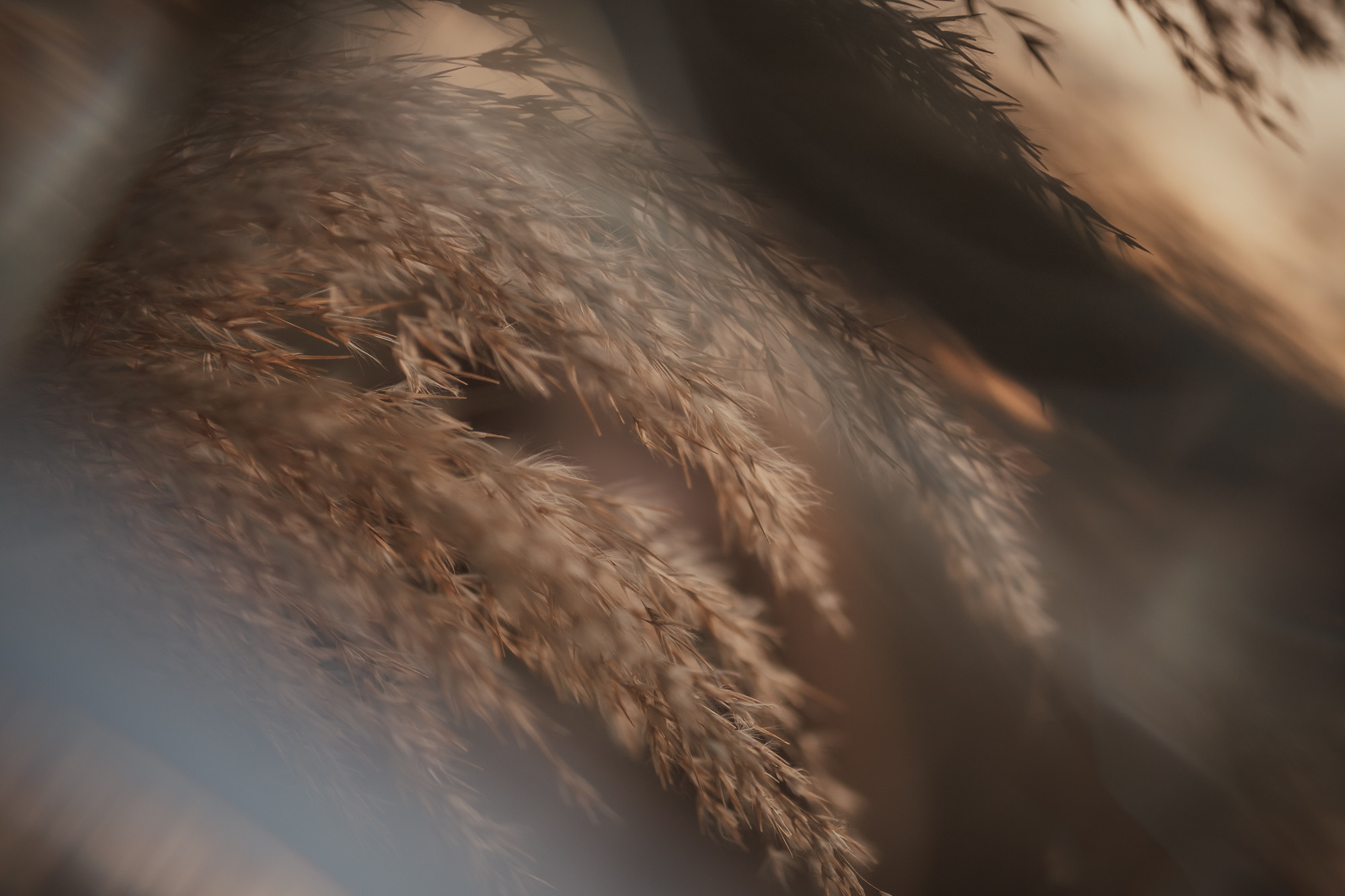 Зимен залез. Фотограф Ирина Йотова