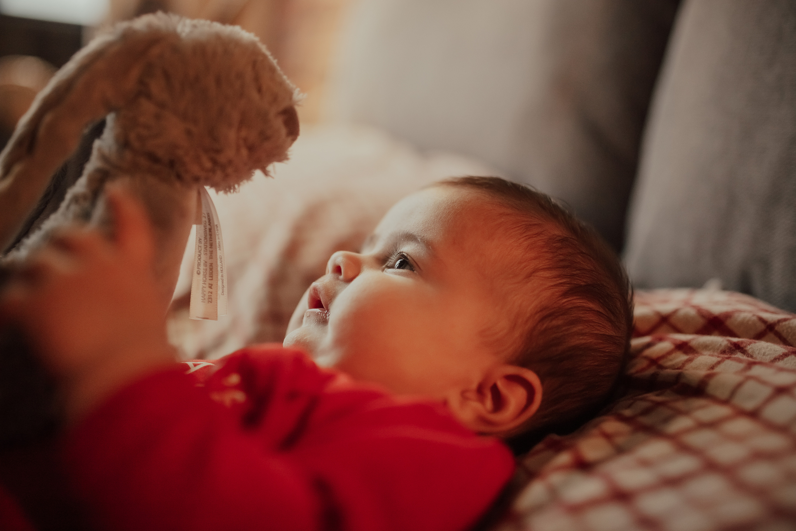 Коледа 2021. Фотограф Ирина Йотова