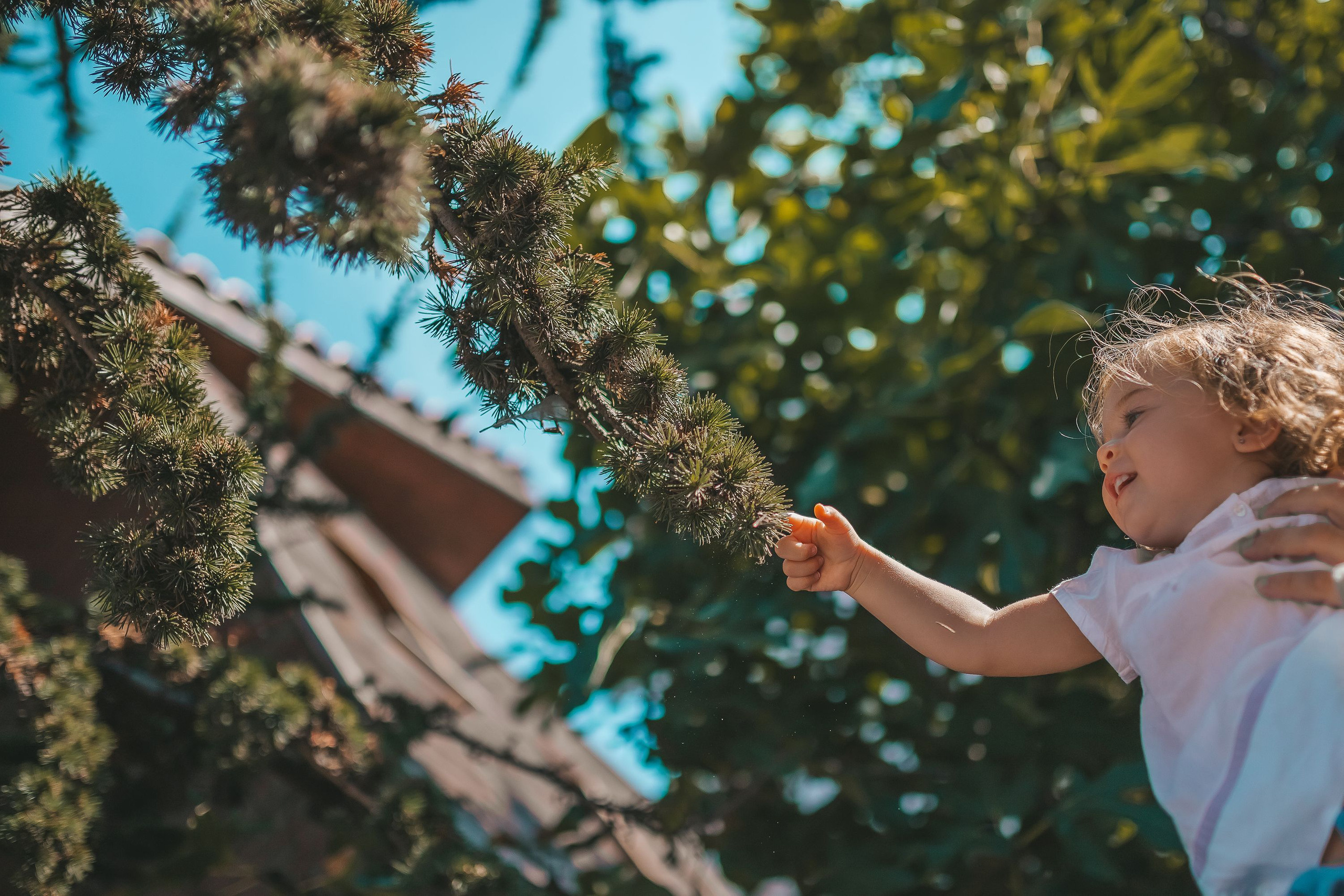 LIVESTAYLE. Фотограф Ирина Йотова