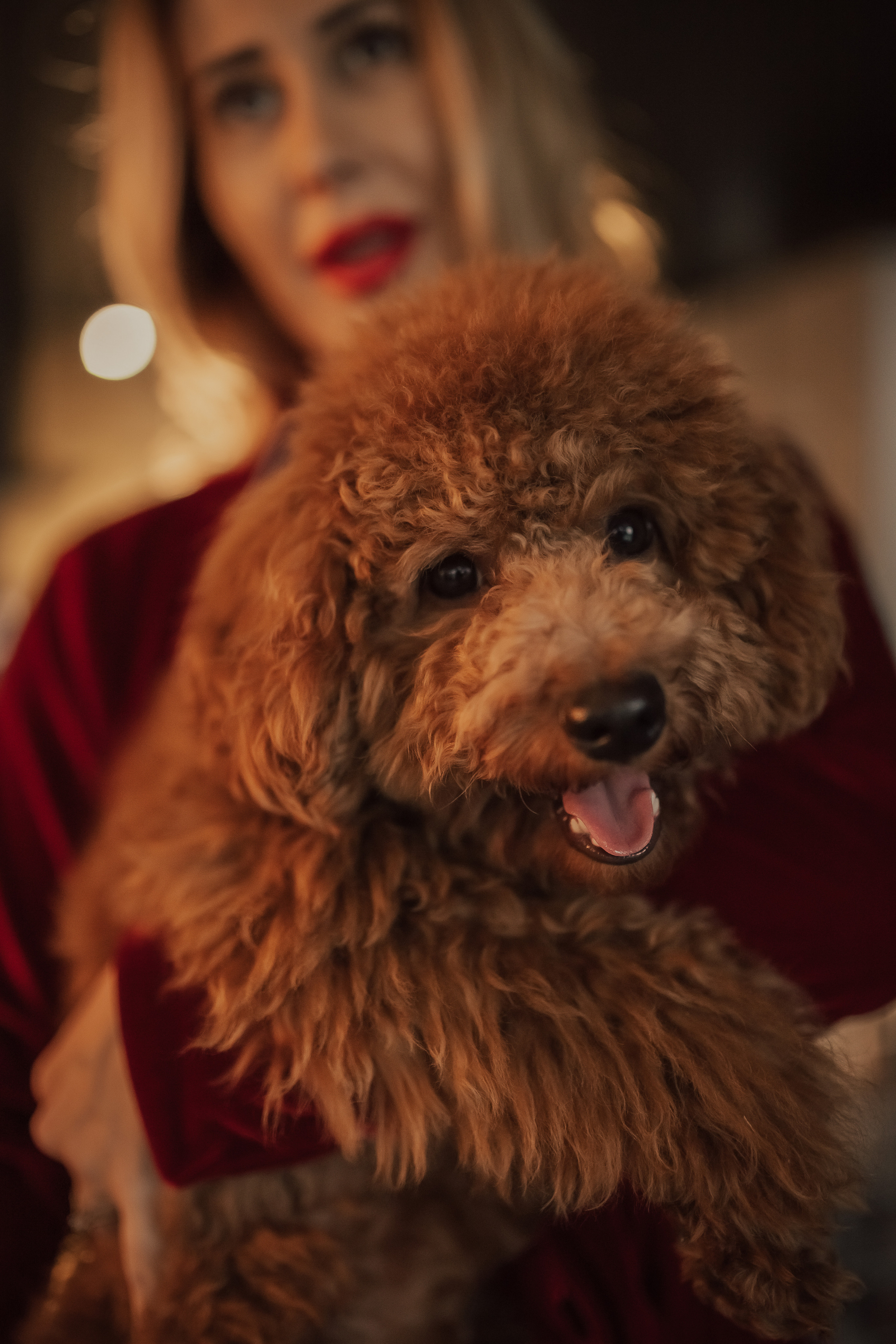 Коледа 2021. Фотограф Ирина Йотова