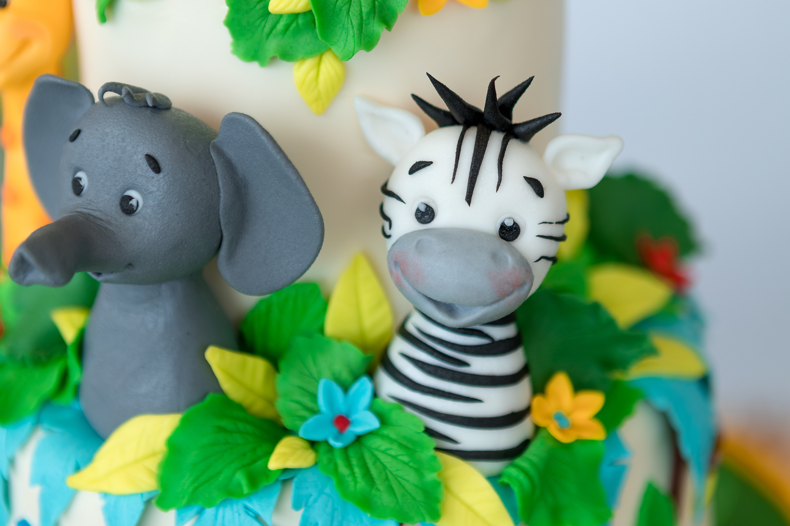 Първи Рожден Ден. Фотограф Ирина Йотова