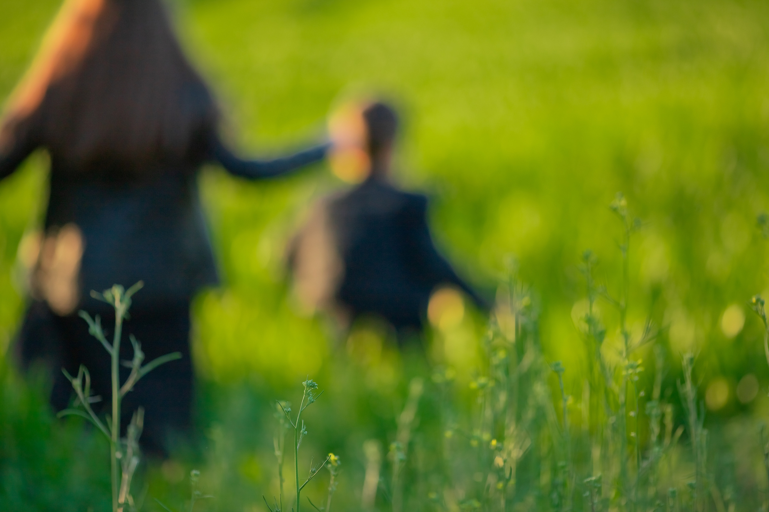 Разходка в полето. Фотограф Ирина Йотова
