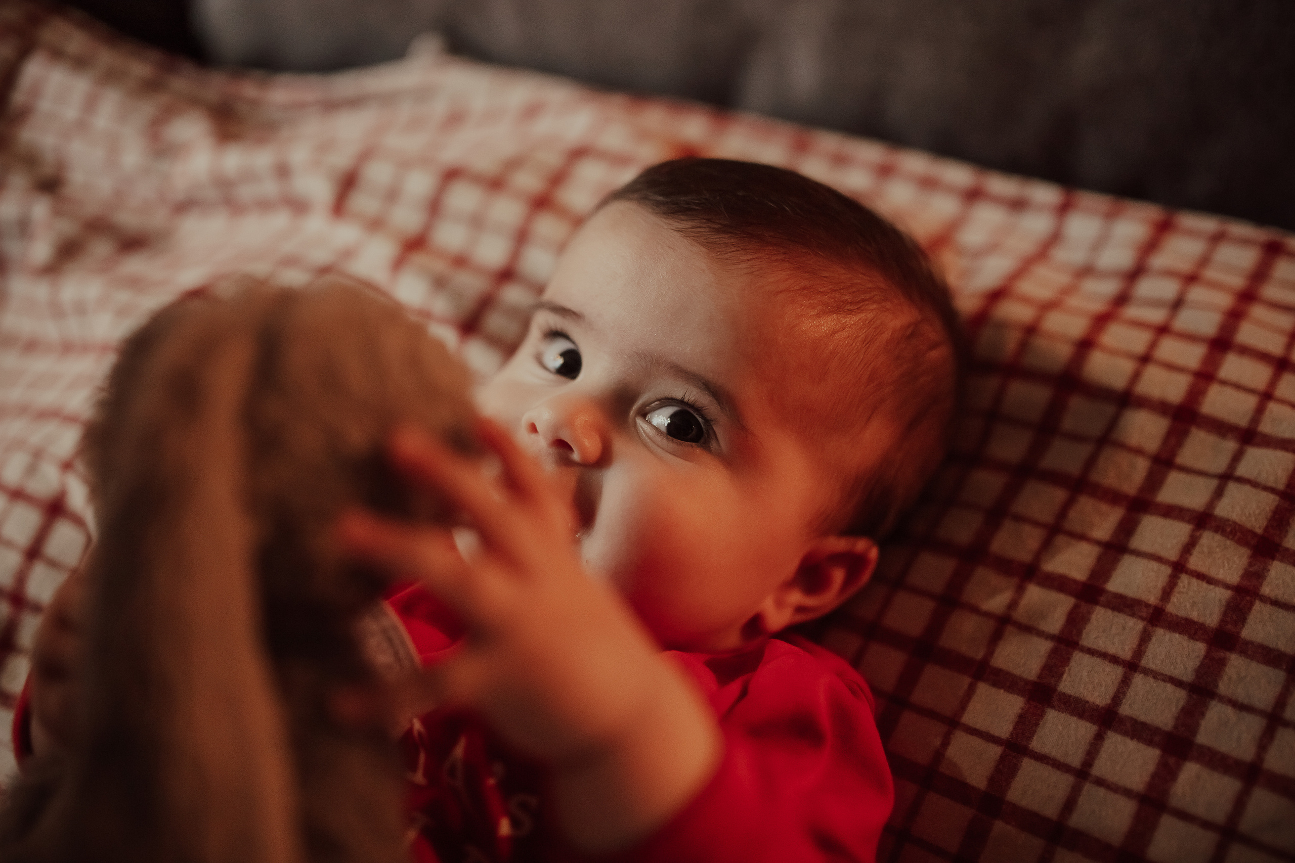 Коледа 2021. Фотограф Ирина Йотова