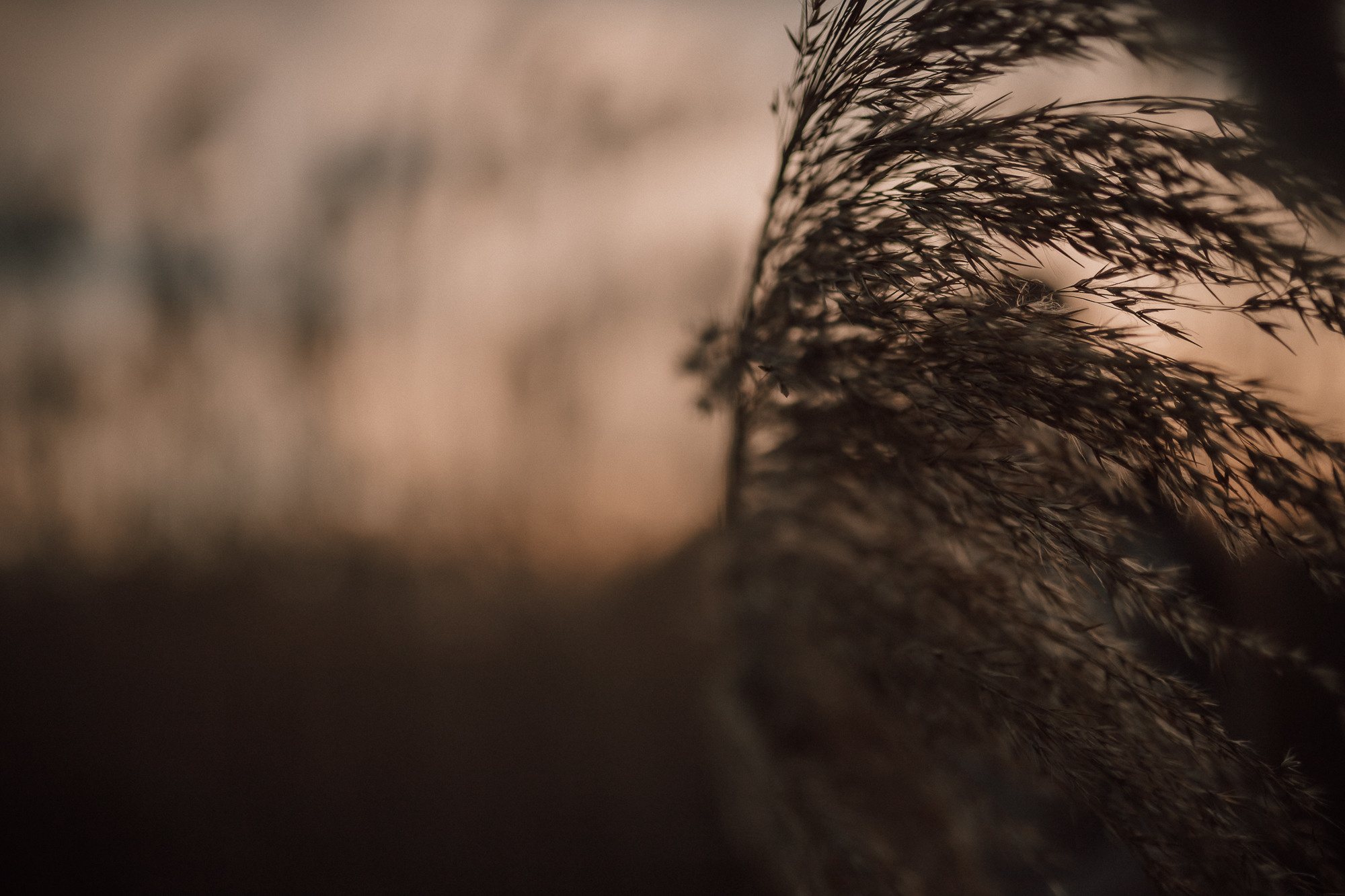 Зимен залез. Фотограф Ирина Йотова