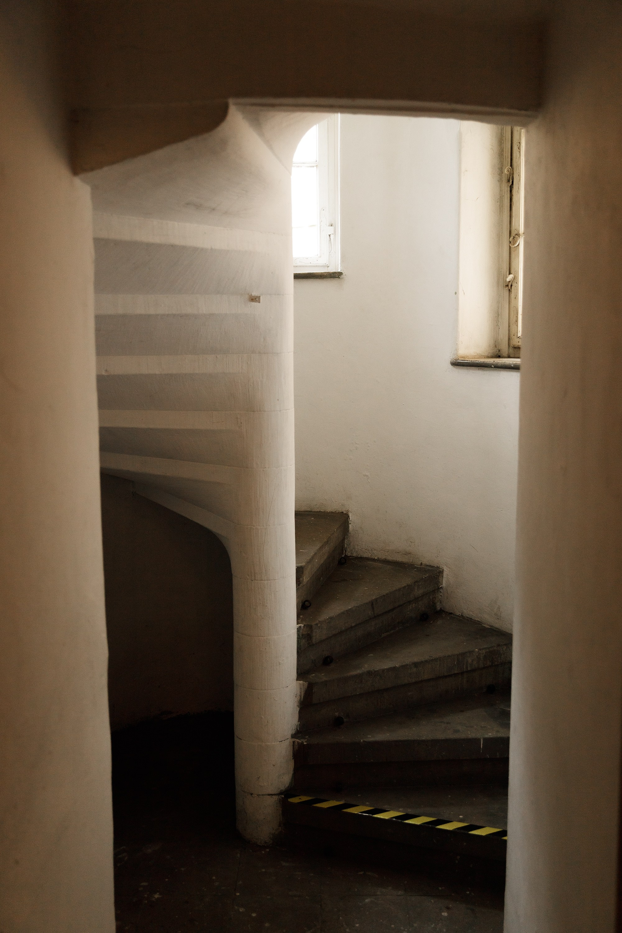Oleśnica castle. Kaja | fotograf psów we Wrocławiu