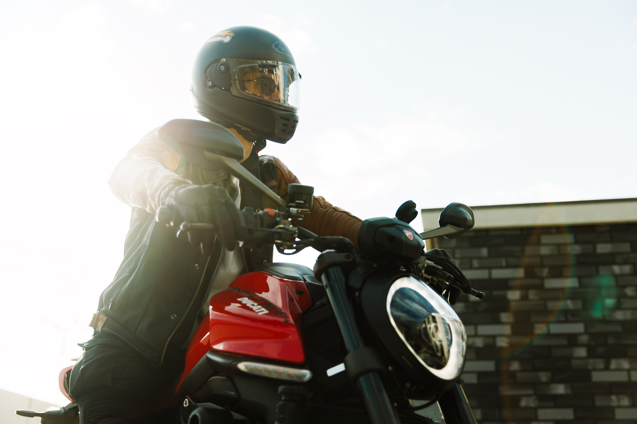 Alex. Kaja | fotograf psów we Wrocławiu