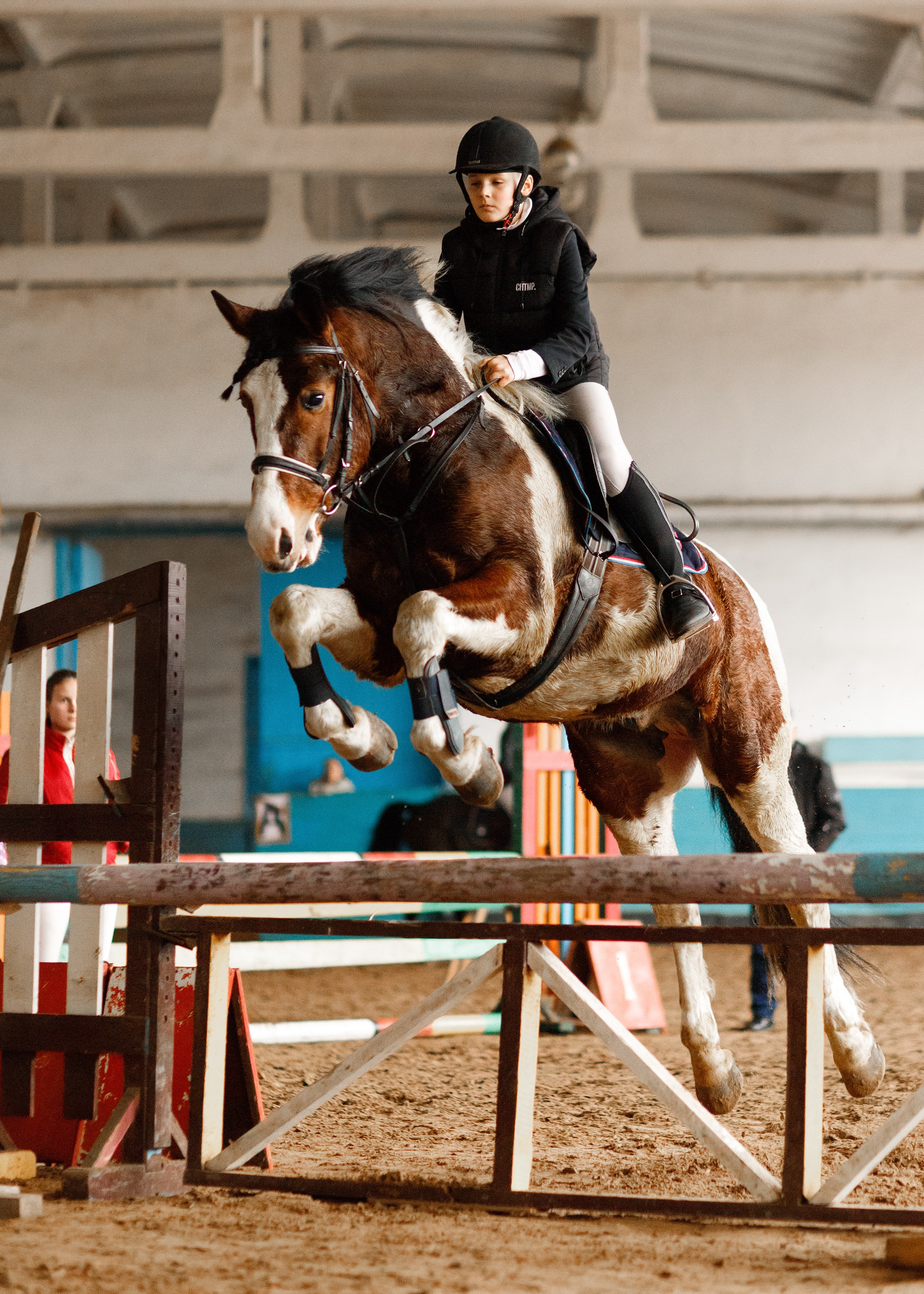 Winter show jumping in «Progress». Kaja | fotograf we Wrocławiu | ludzie i psy