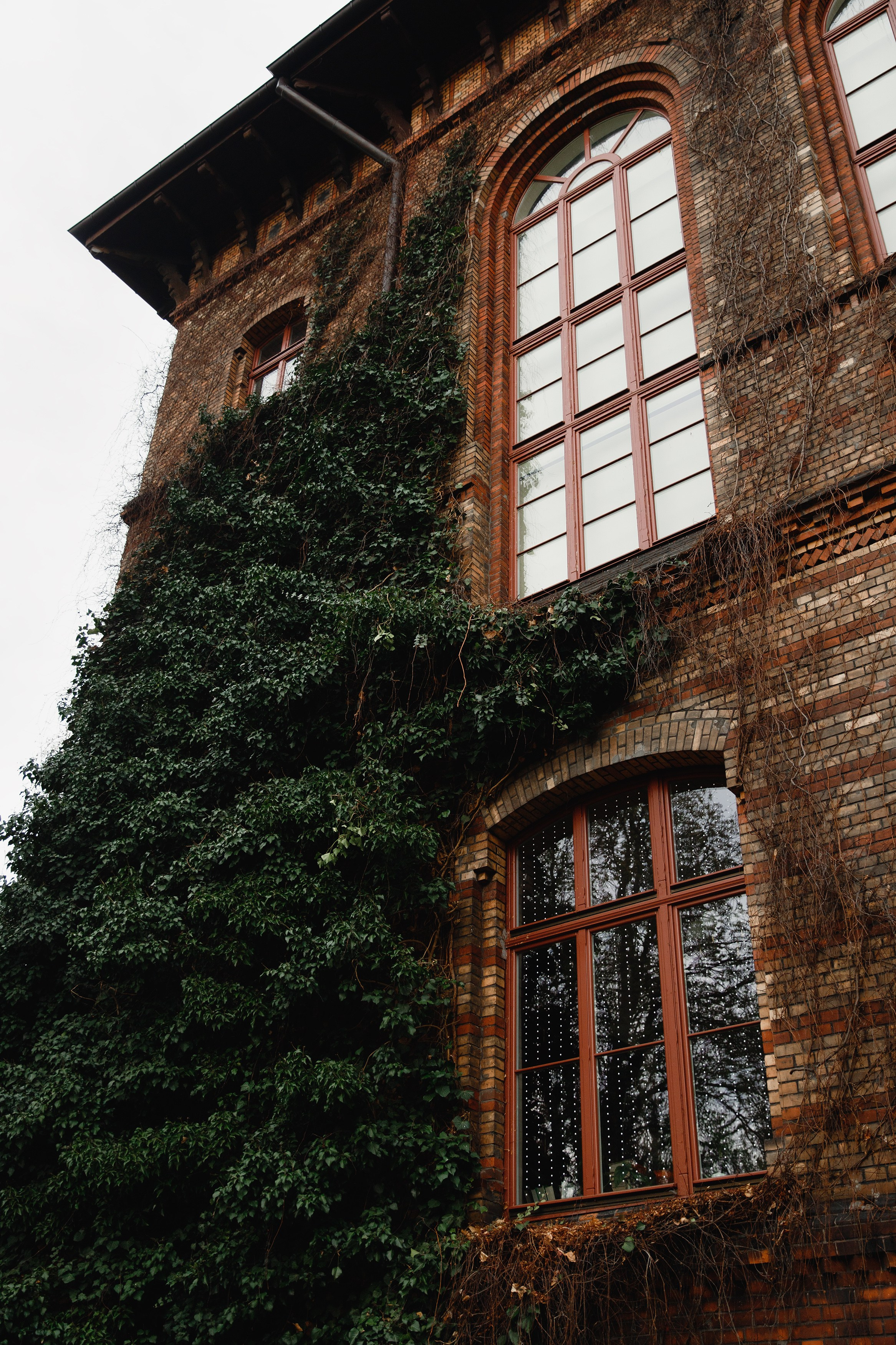 Botanical garden in Wroclaw. Kaja | fotograf we Wrocławiu | ludzie i psy