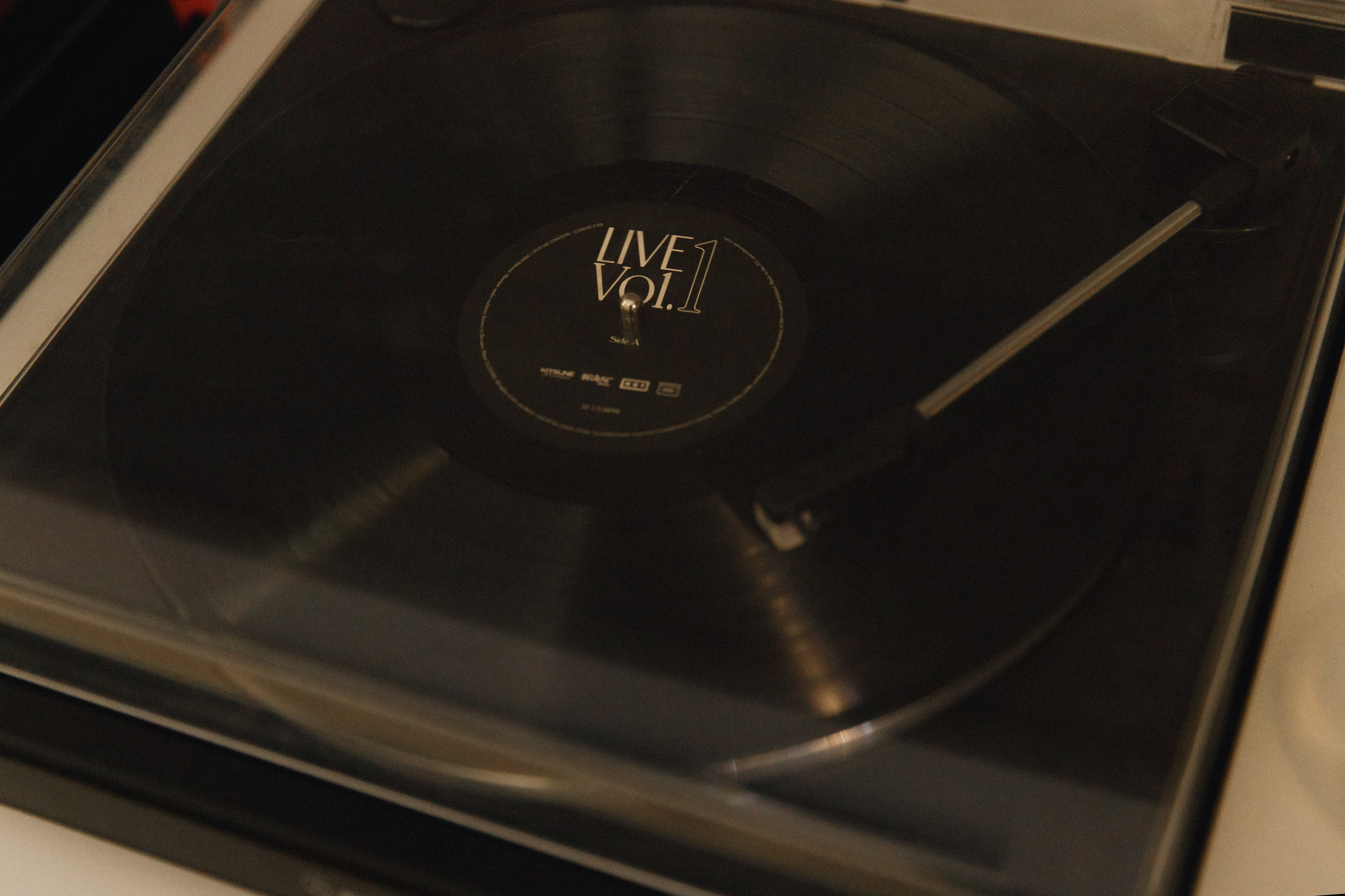 Dasha & Daisy. Kaja | fotograf psów we Wrocławiu