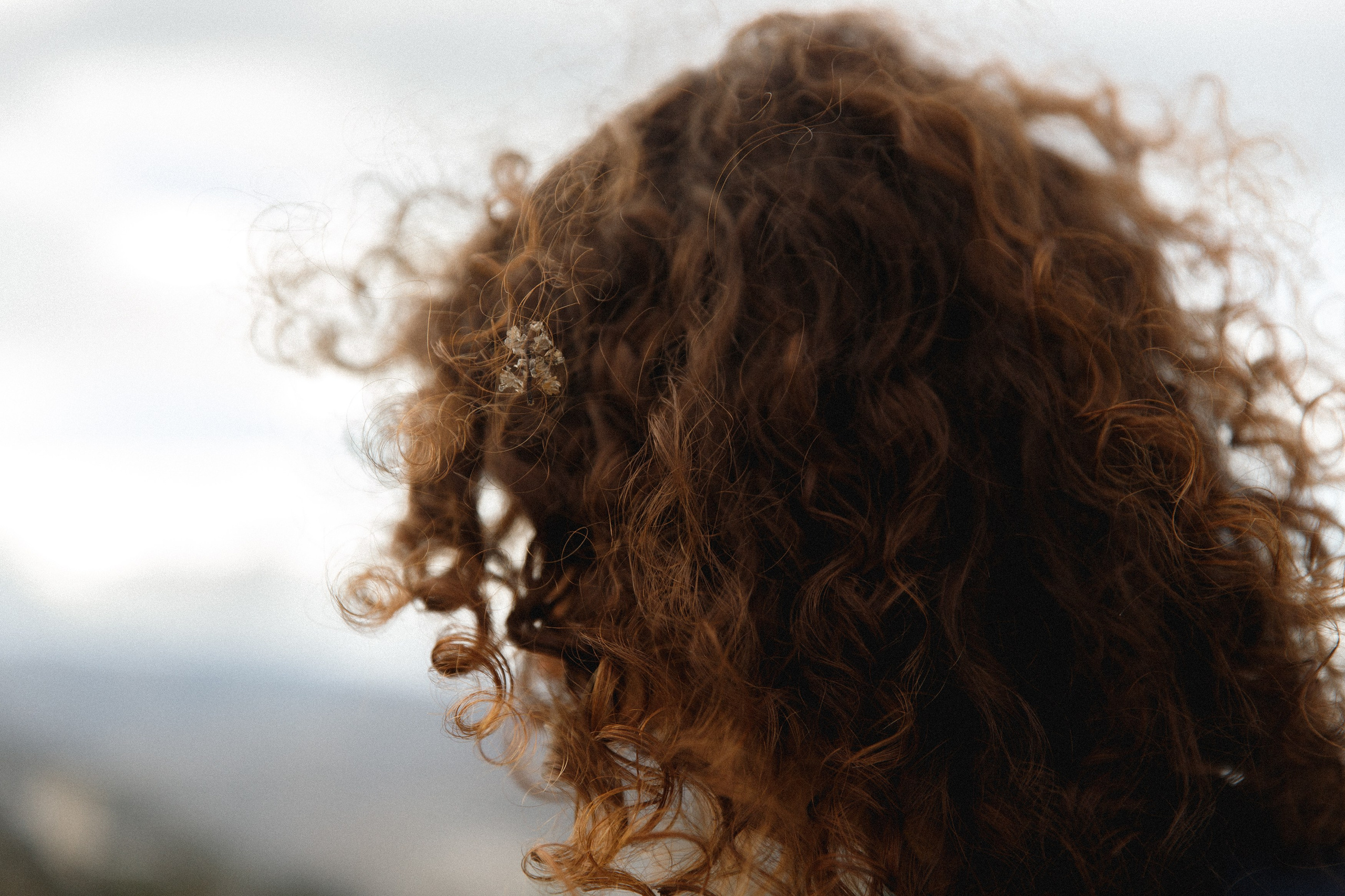 Sasha & Leonid. Kaja | fotograf psów we Wrocławiu