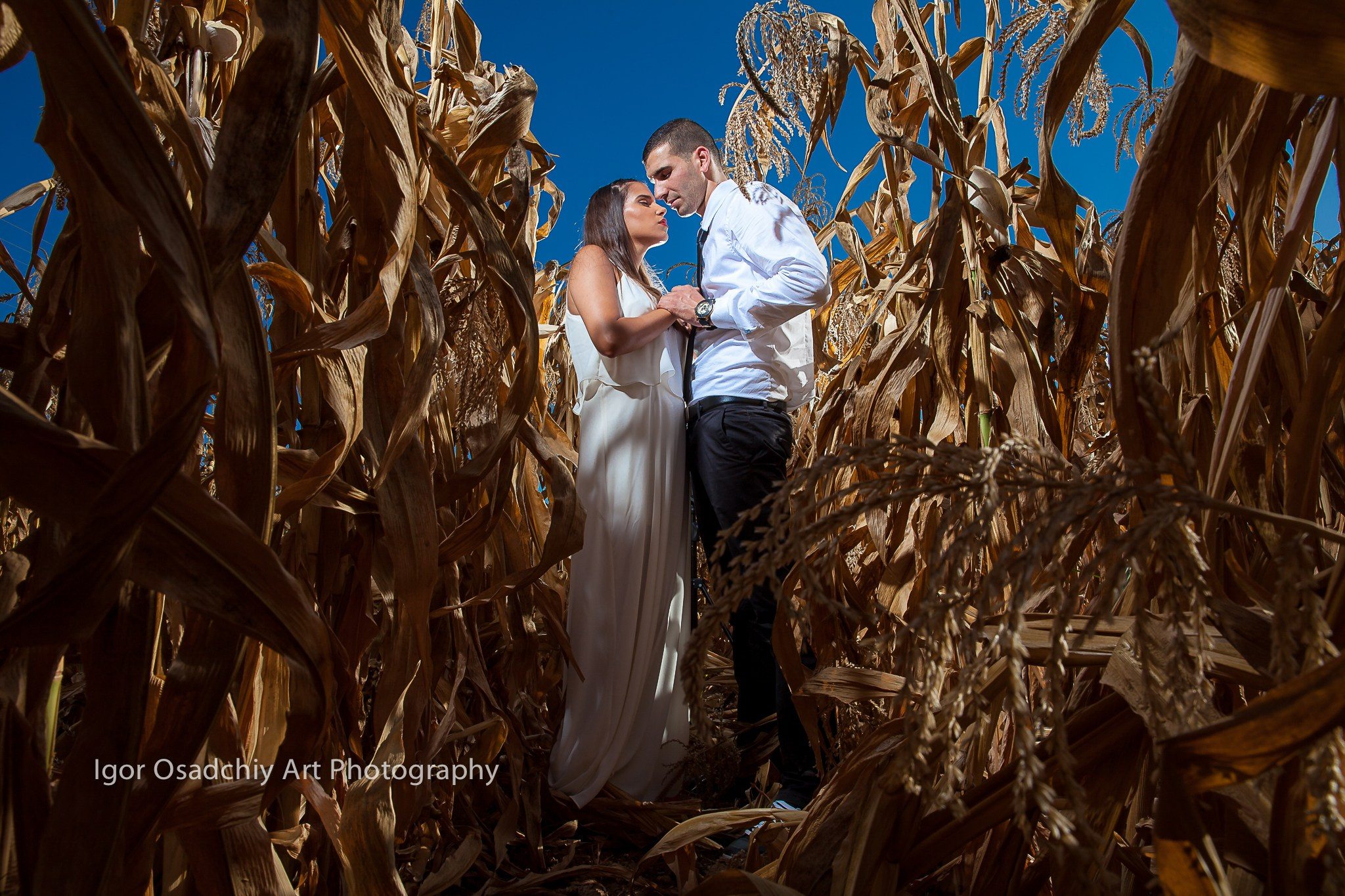 צילום של איגור. Wedding and events photographers Studio Shalom