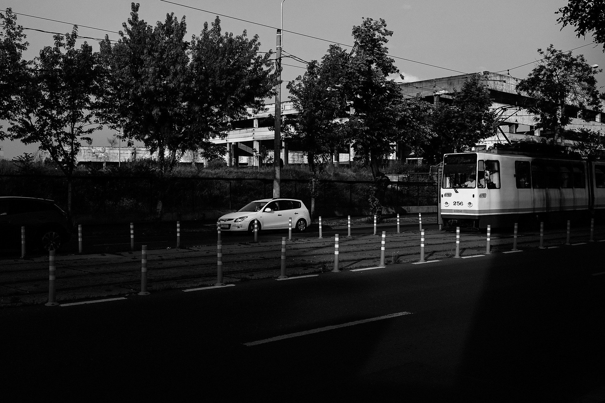 Monochrome. A Creative Insight | Catalin Nastase