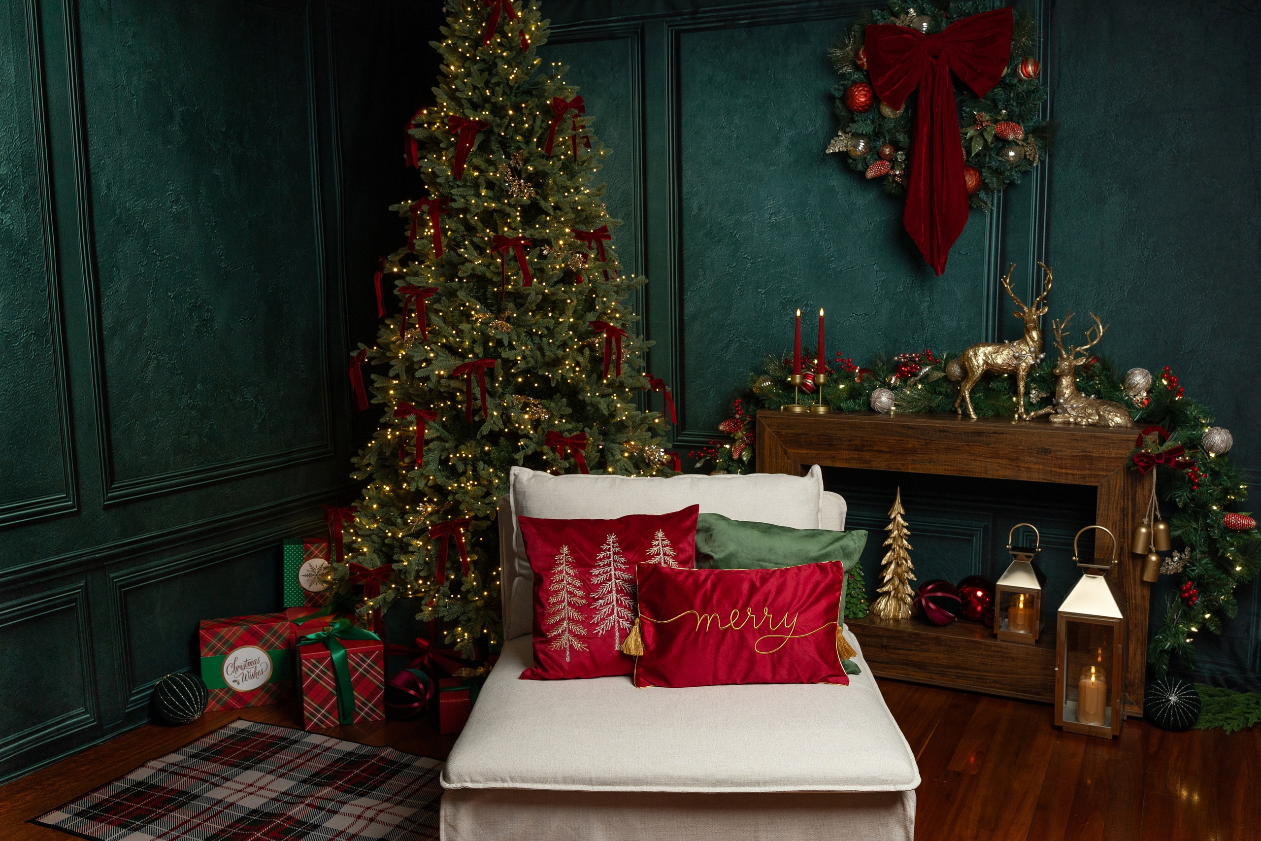 Christmas sessions in Sydney