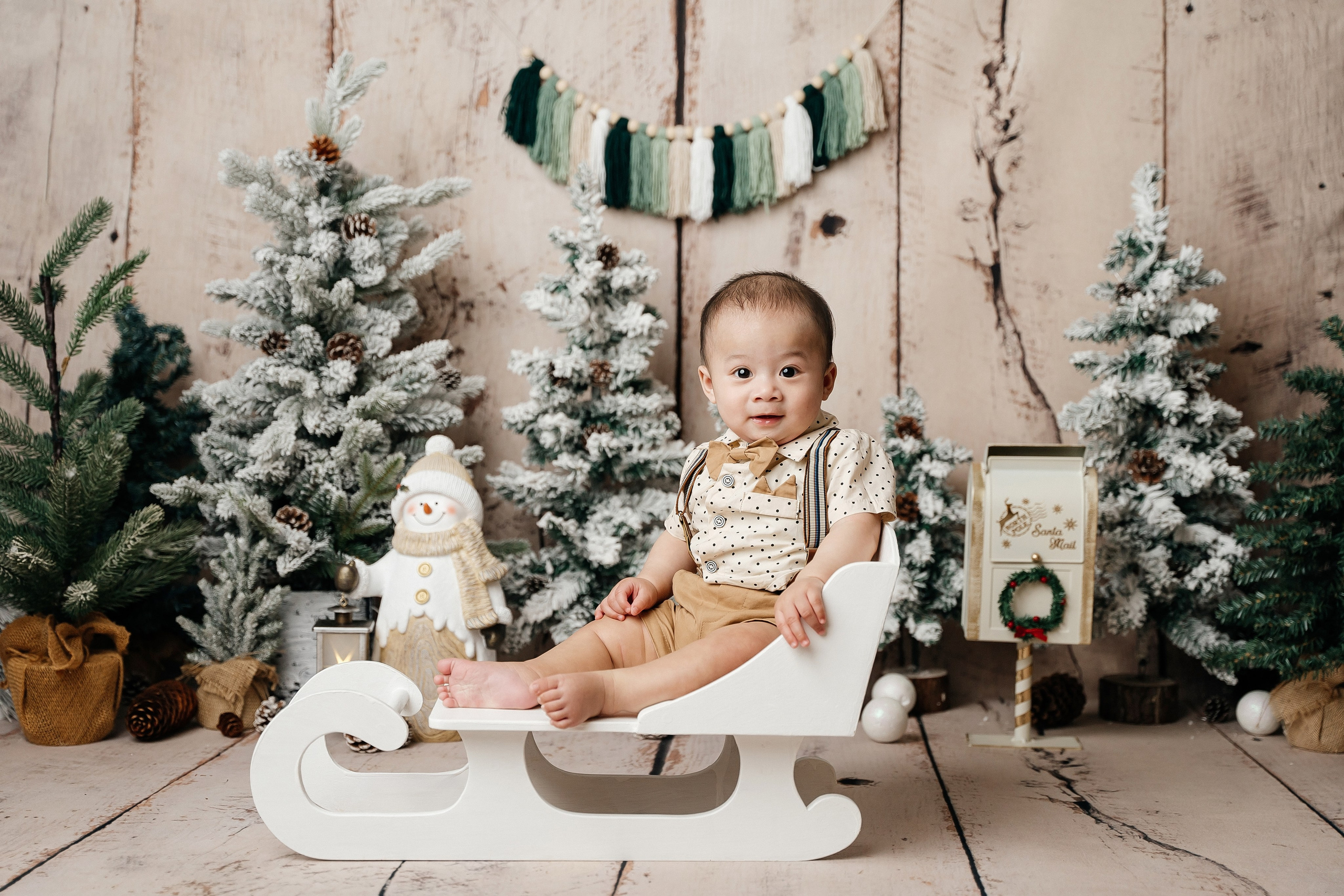 Christmas sessions in Sydney