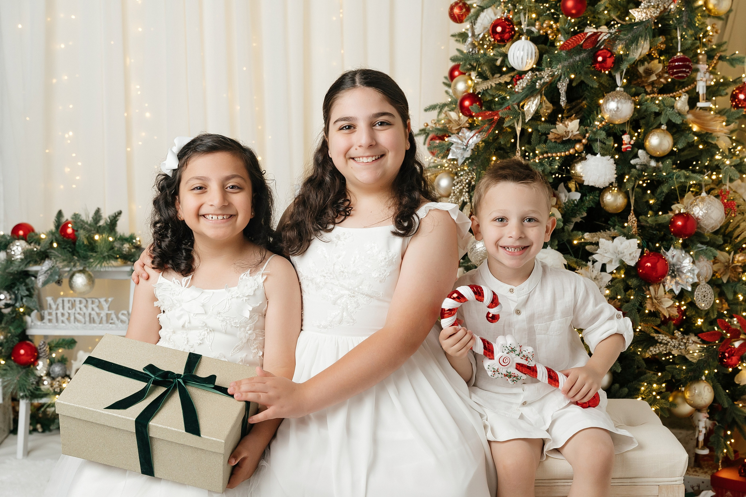 Christmas sessions in Sydney