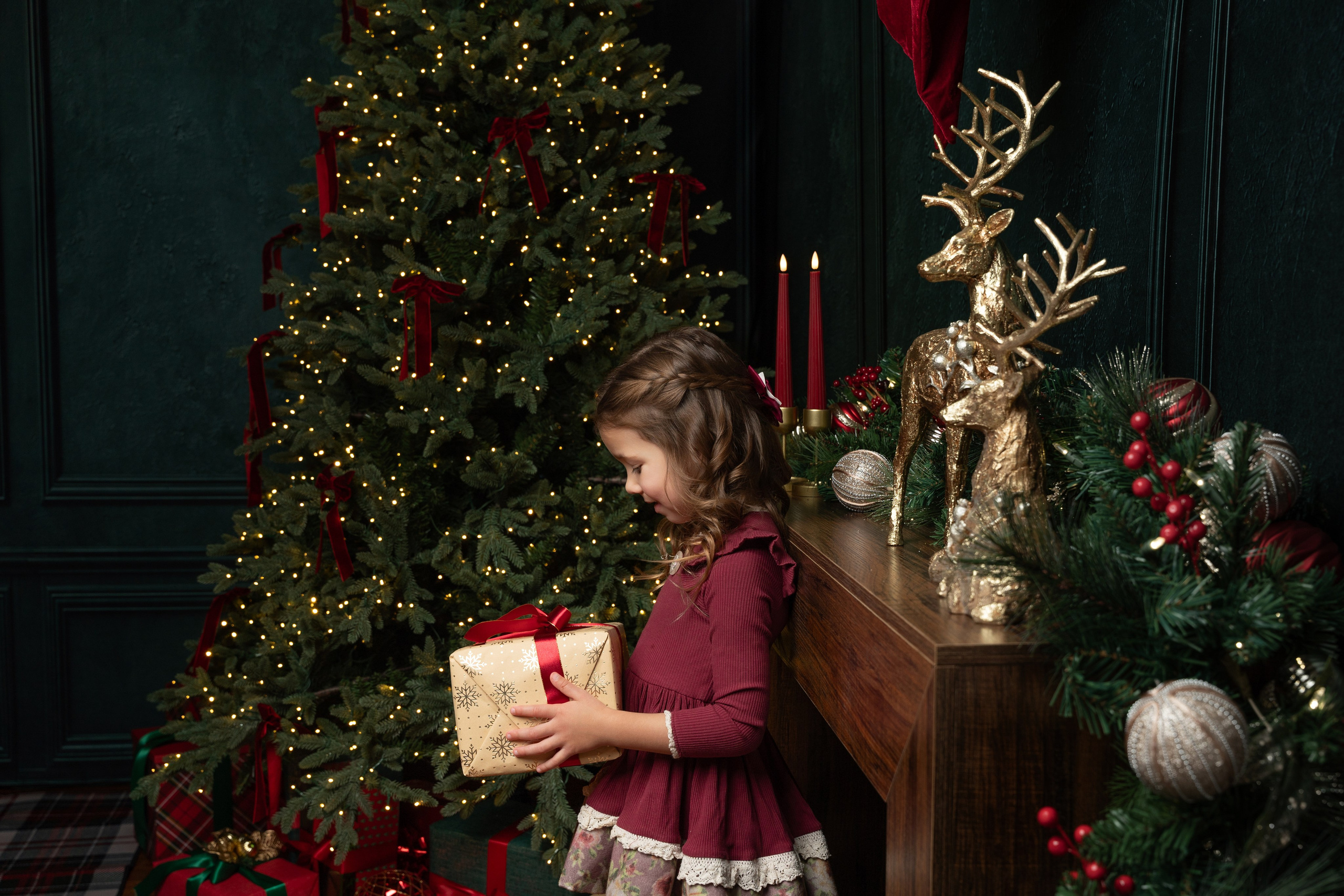 Christmas sessions in Sydney