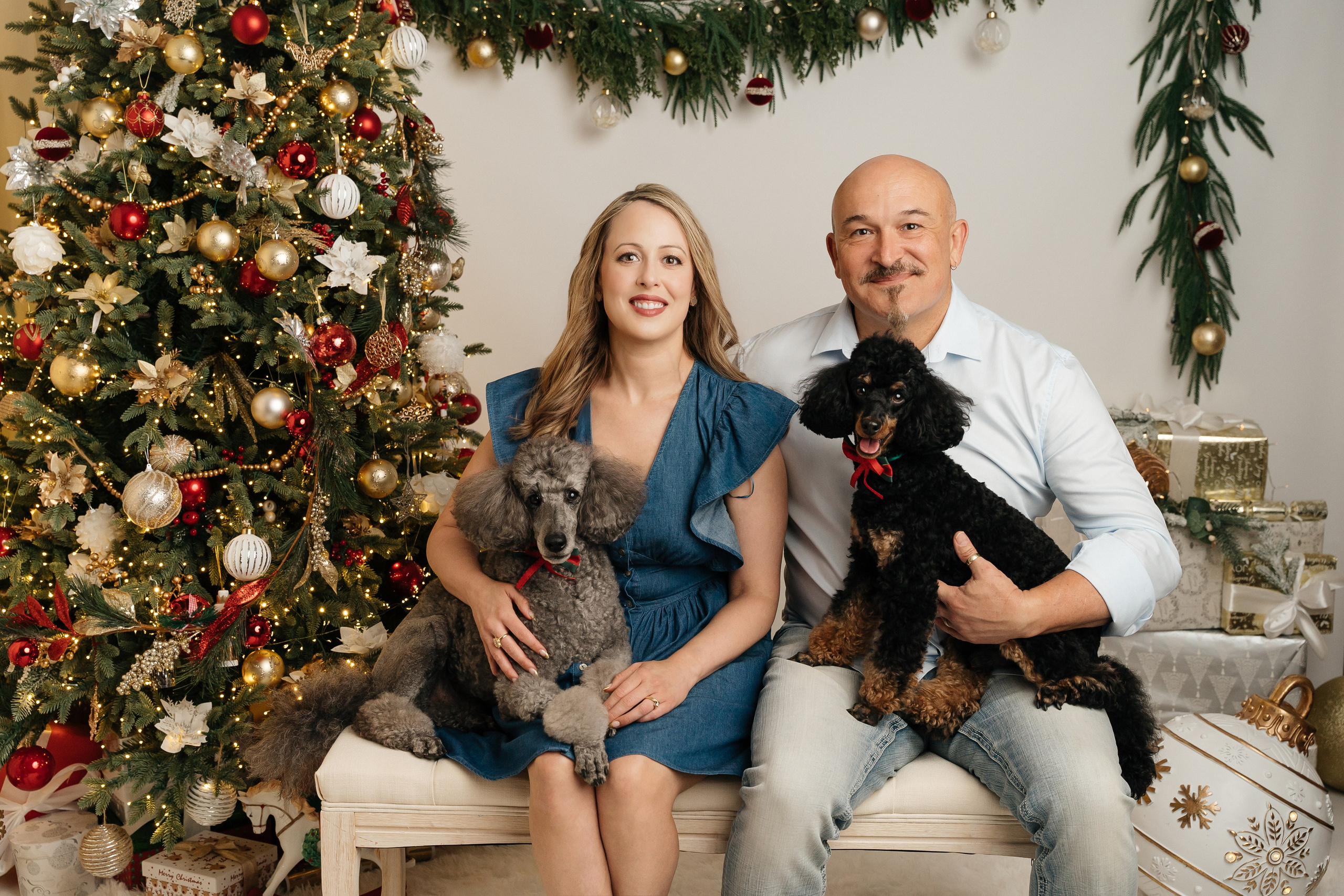 Christmas sessions in Sydney