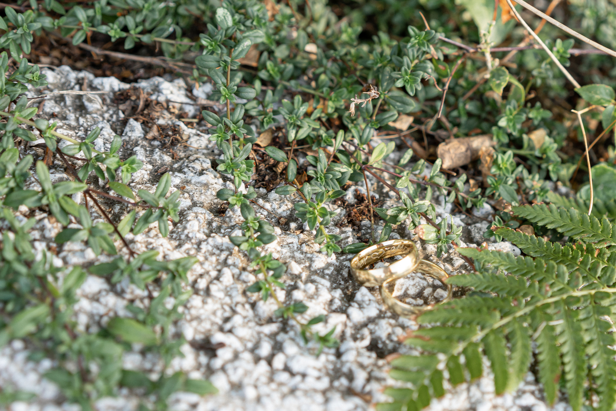 Однополая свадьба в Черногории с видом на Которский залив