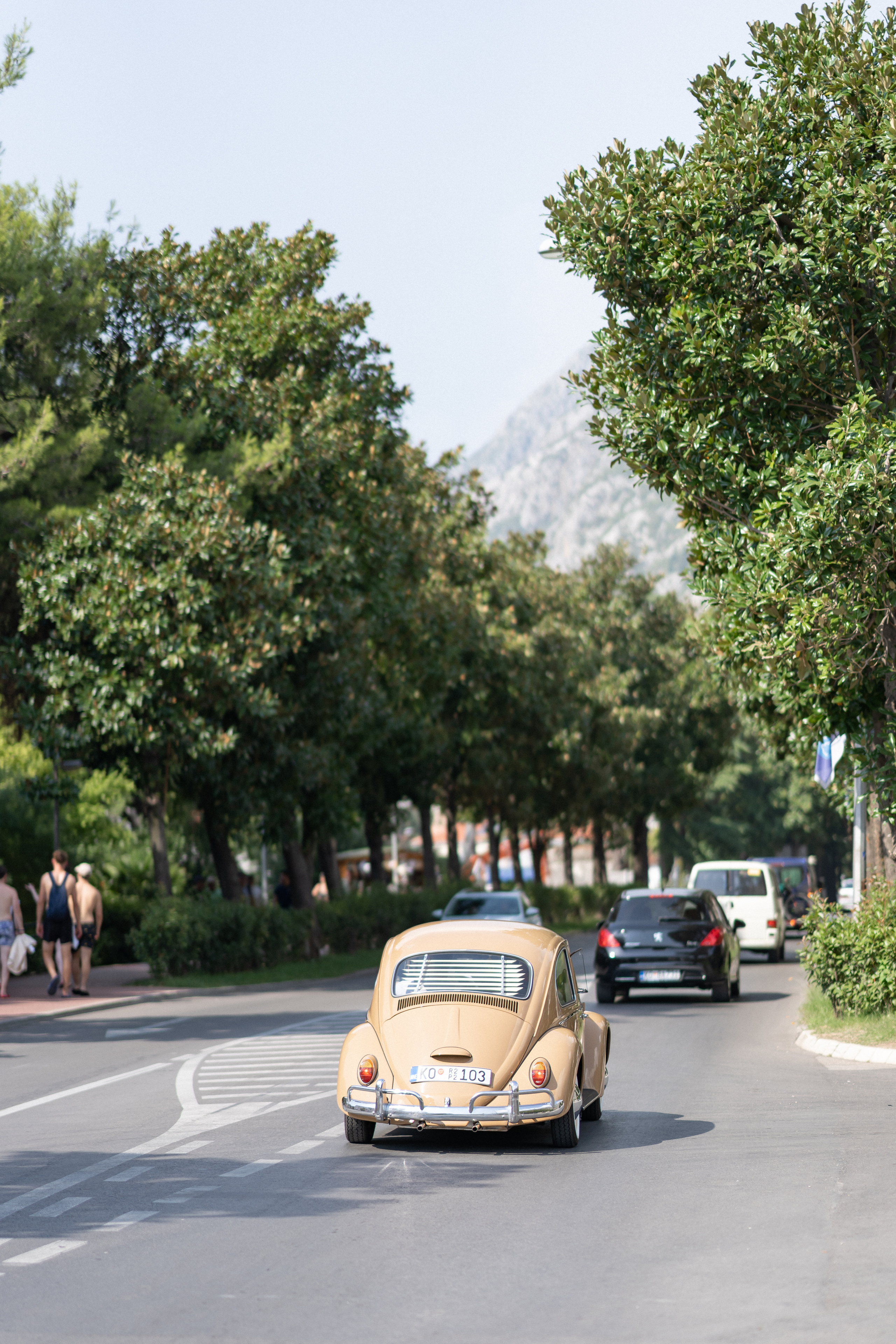 Однополая свадьба в Черногории с видом на Которский залив