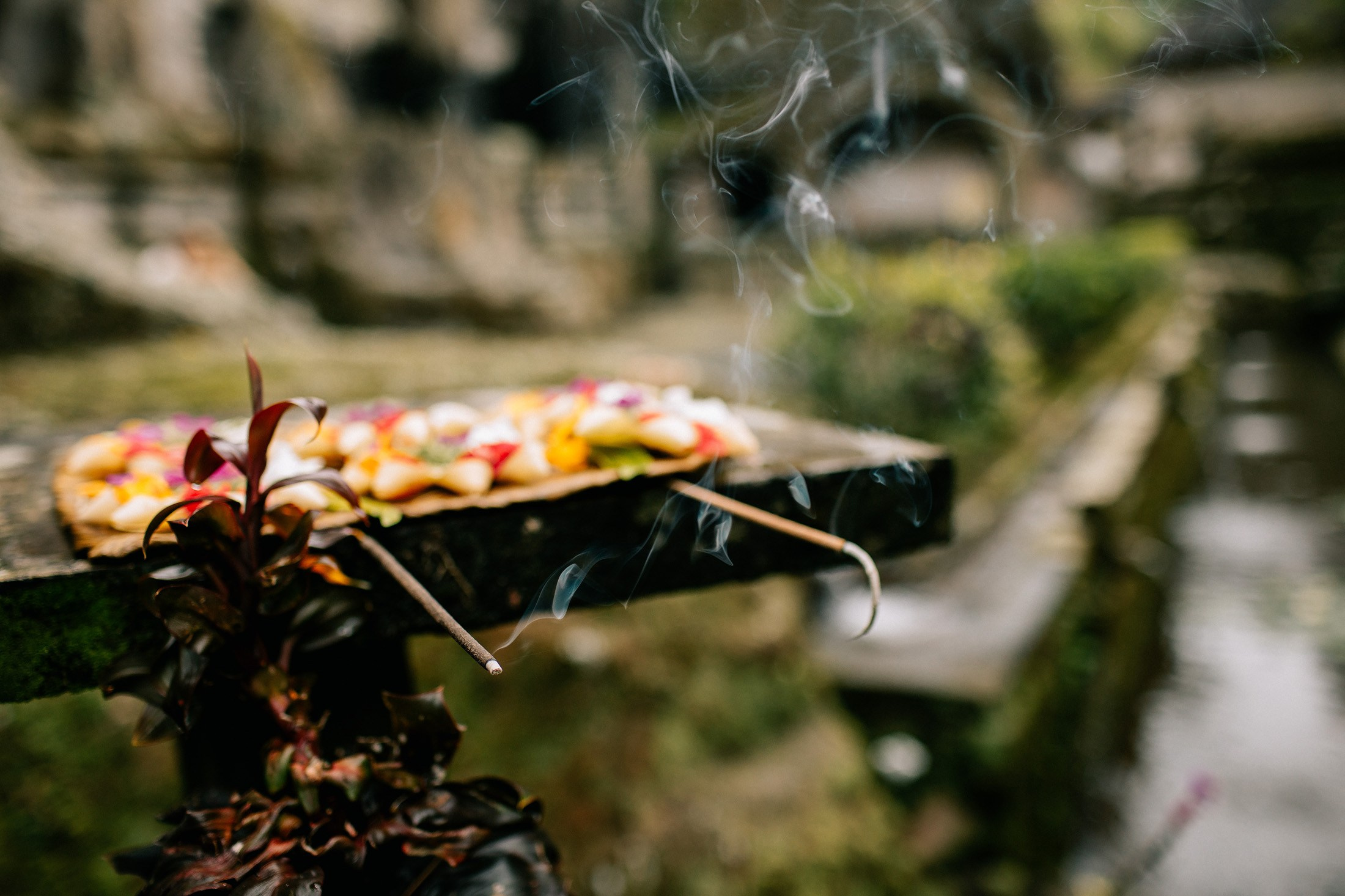 Rice terraces + secret temple. Getitfeel — Aesthetic Photography and Videography