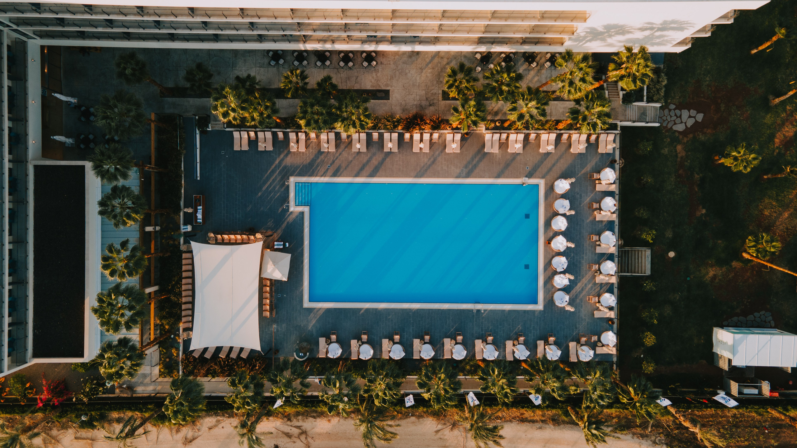 Pfizer. AMIR BUCHNIK PHOTOGRAPHER