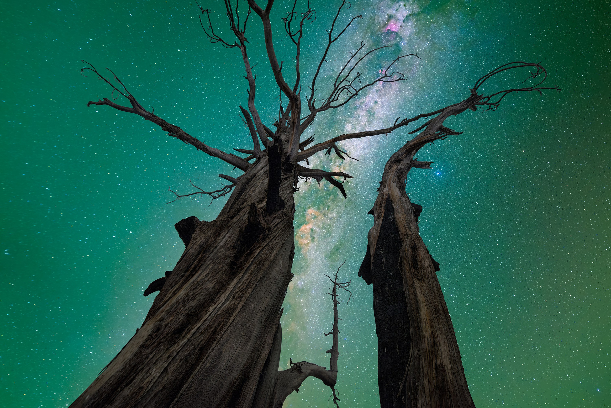 MilkyWay. Amirhamzeh Mashayekhi Photographer