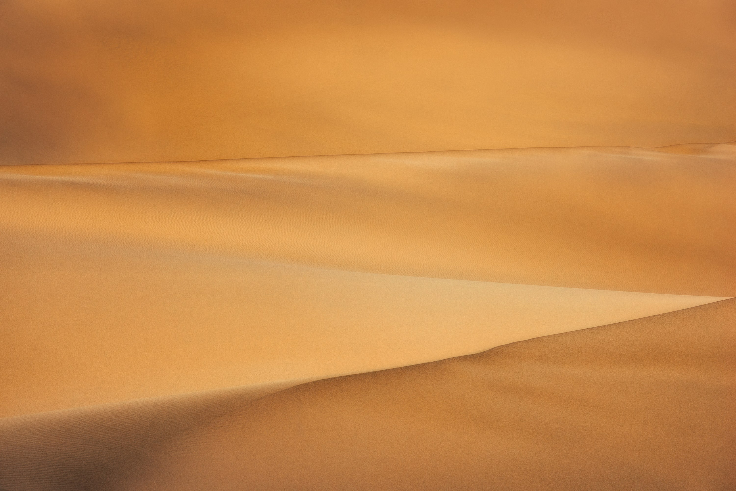 Amirhamzeh Mashayekhi Photographer