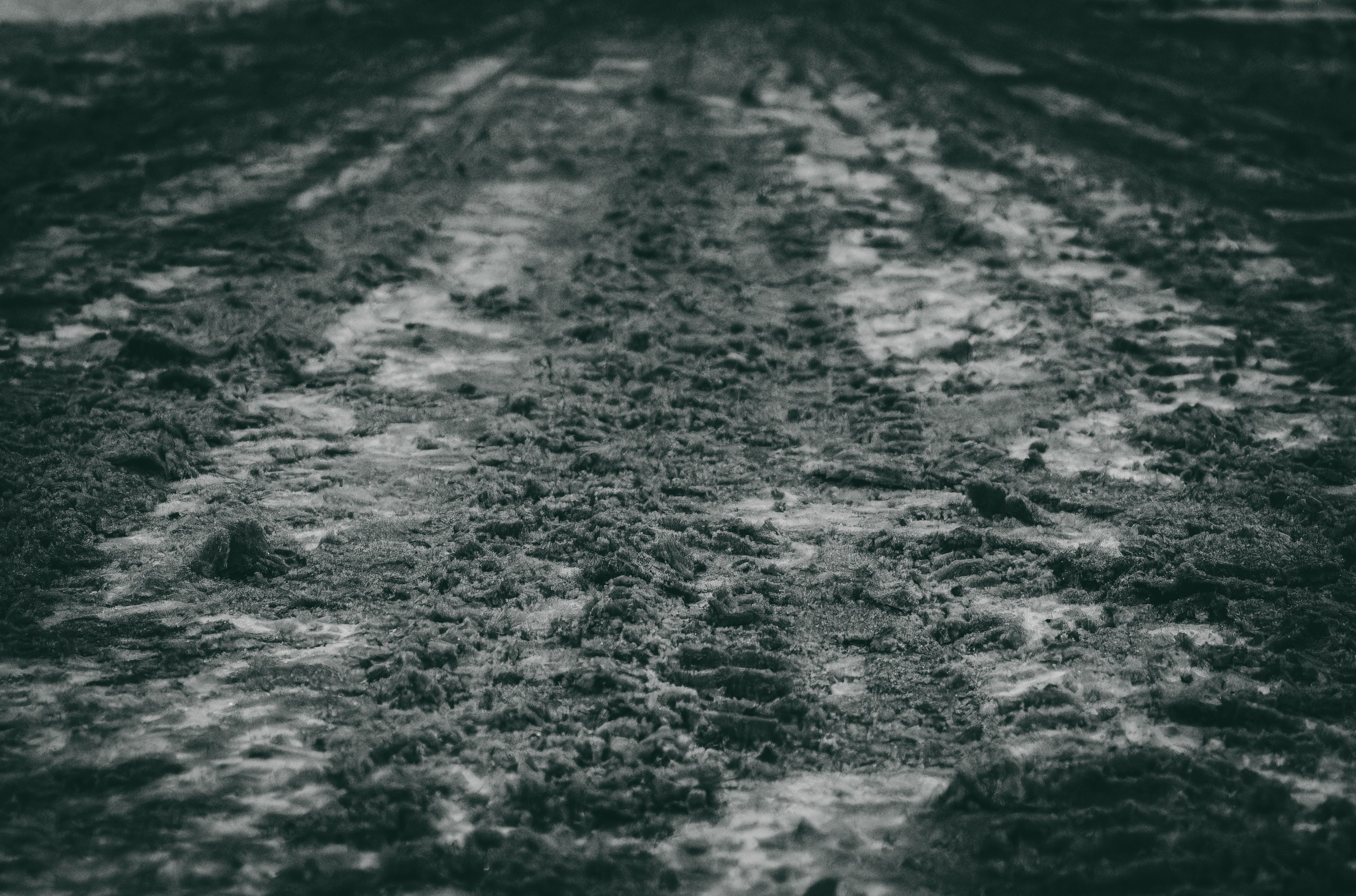 Talvine öö. Nebula 25 — Fotod teie hingele