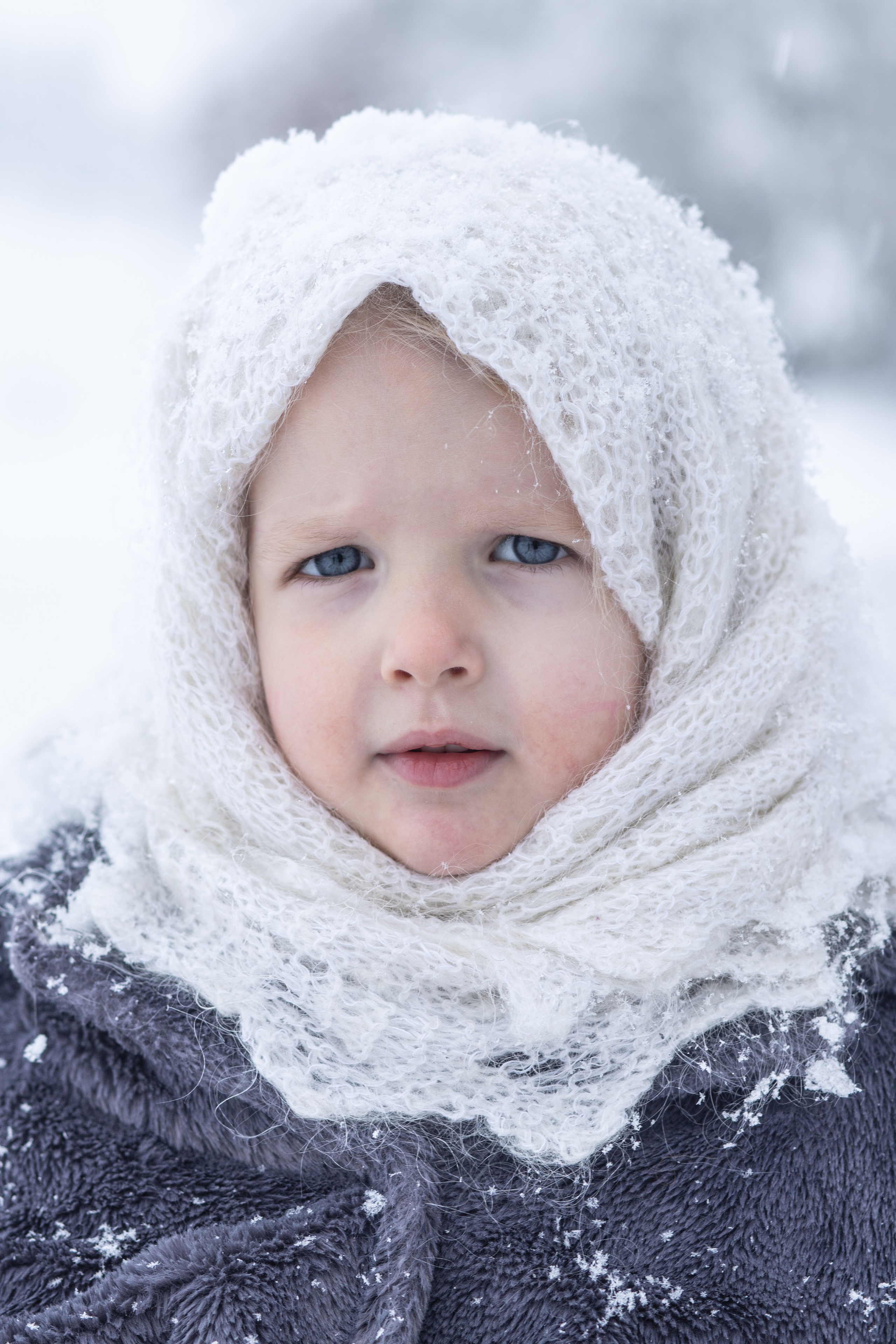 Ein Weihnachtsmärchen. Olena Fritz Fotografie