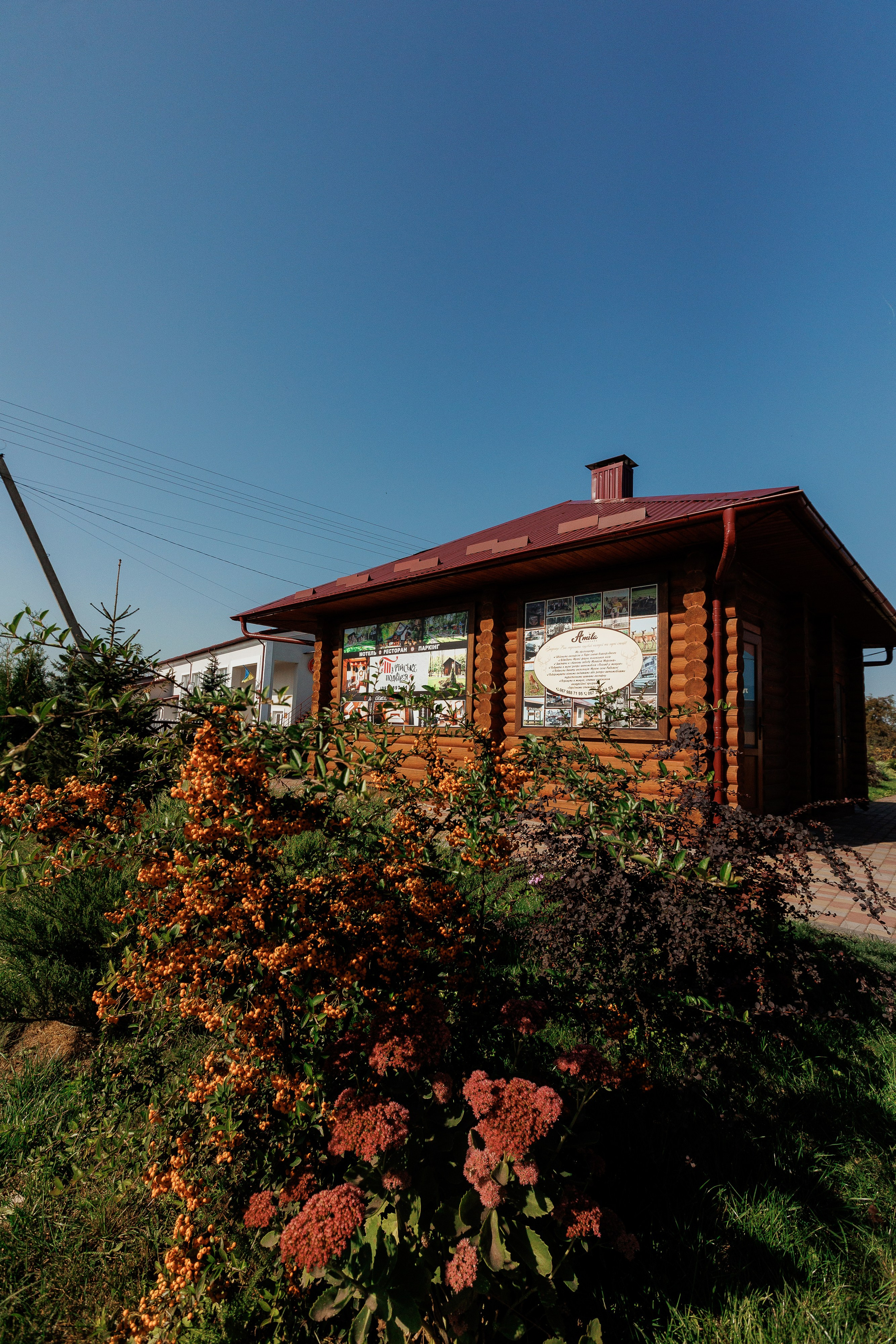 Екопарк Аміла. Ірина Терещук