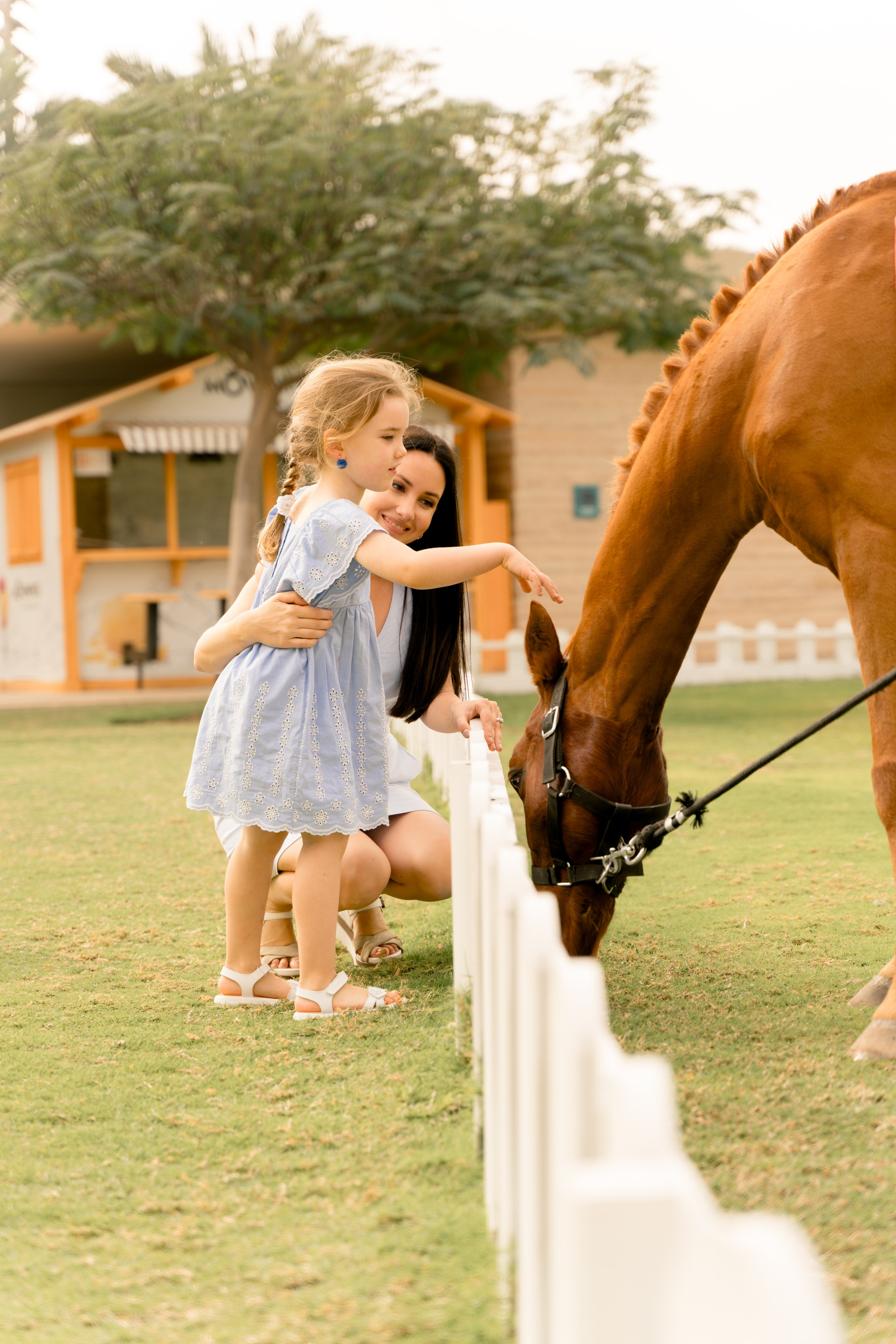 Фотосессия в Umm Al Emarat Park — природная гармония в центре Абу-Даби. Фотограф в Абу Даби Марина