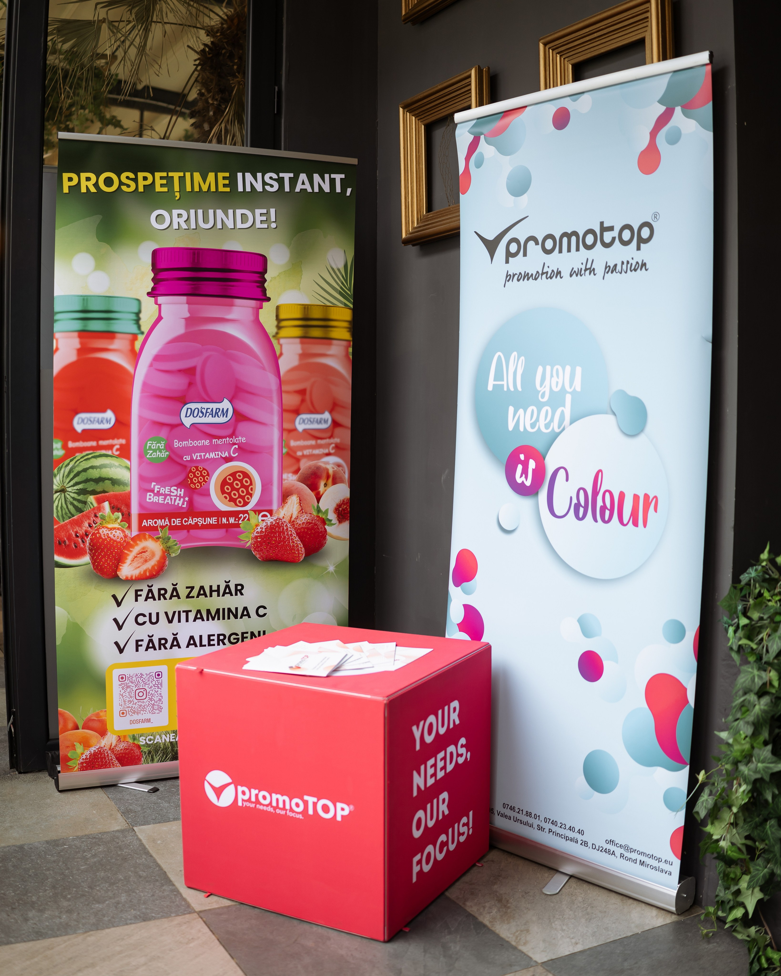 Taste Busters 3. Marius Ciocan