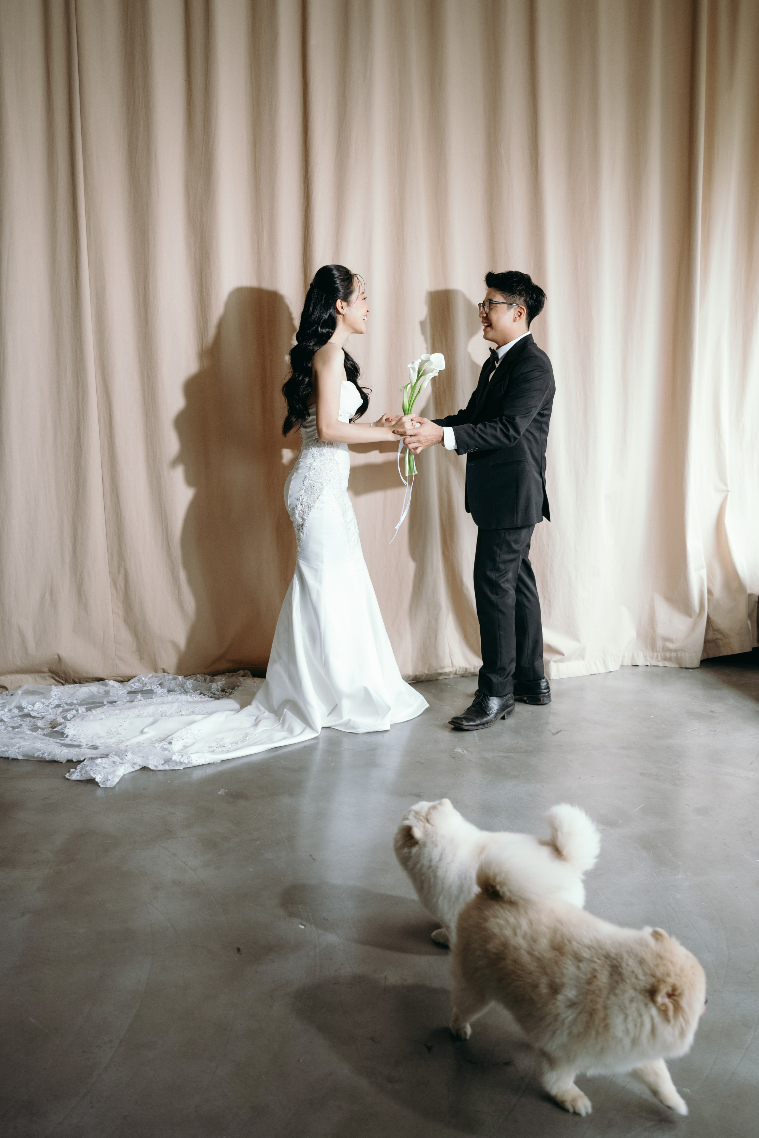 N.A wedding photoshoot in studio