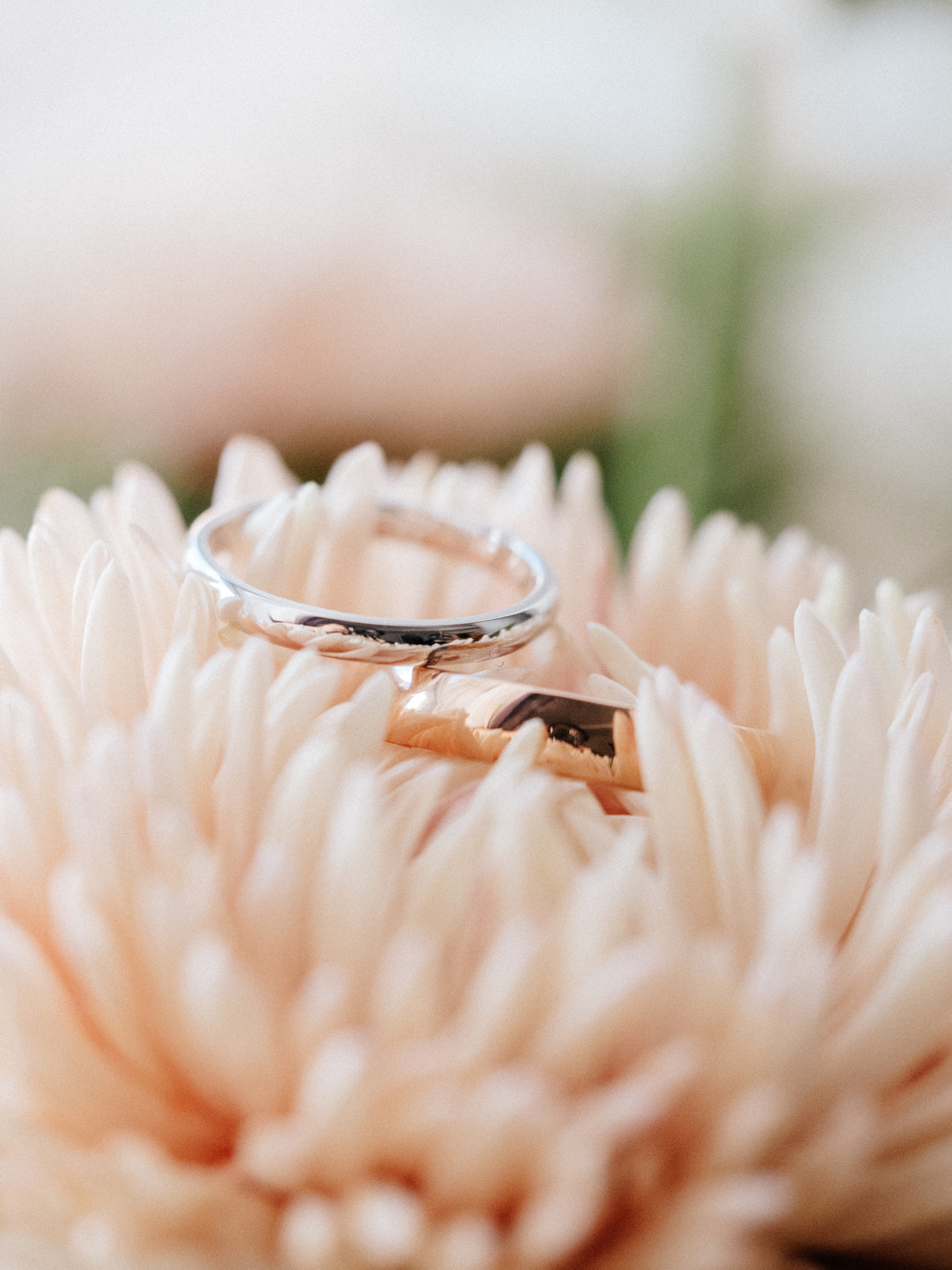 Close up of wedding rings in a Dahlia flower.