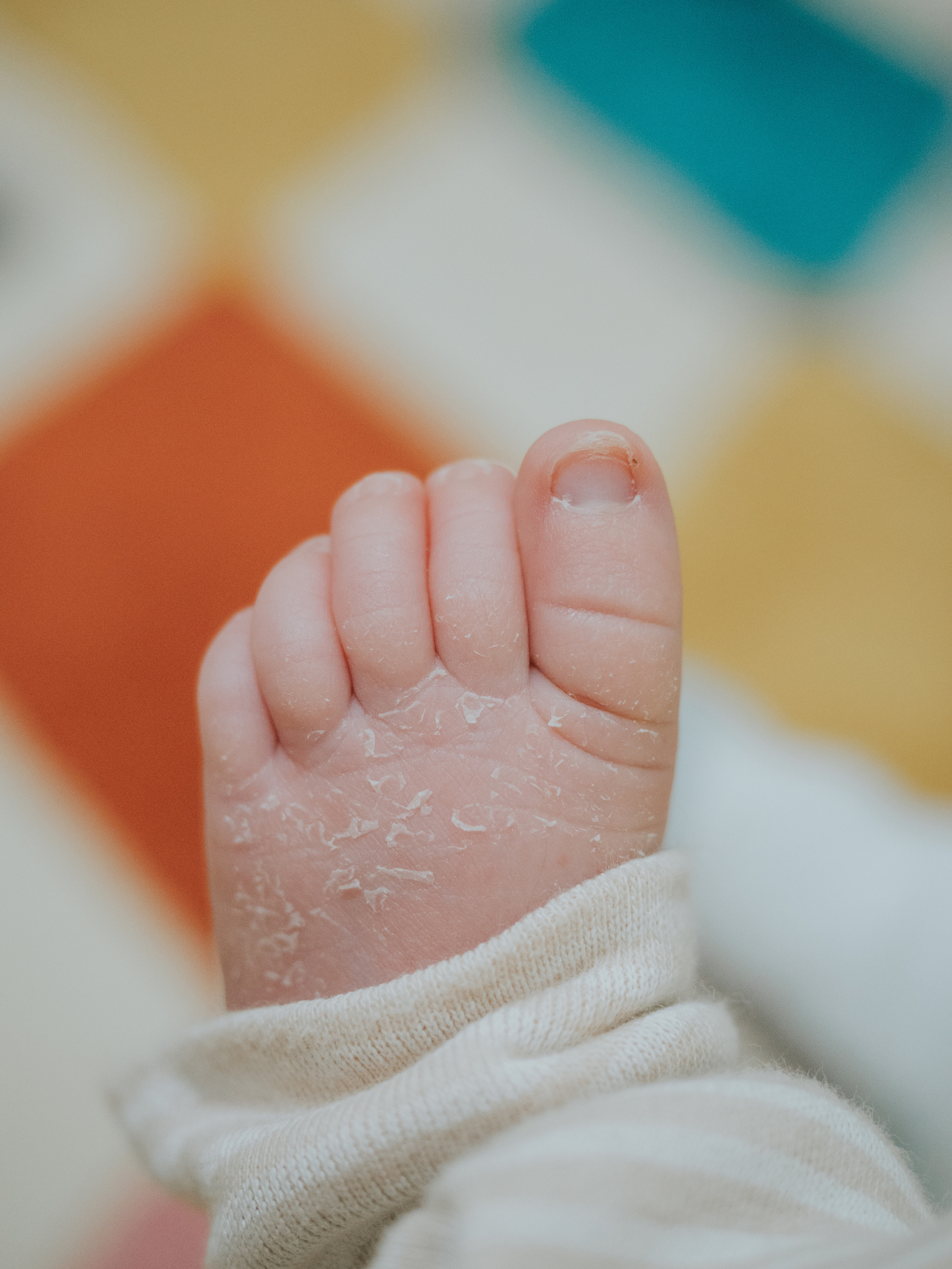 Newborn. Wedding and Family Photography Montreal Muriel Oe Photo