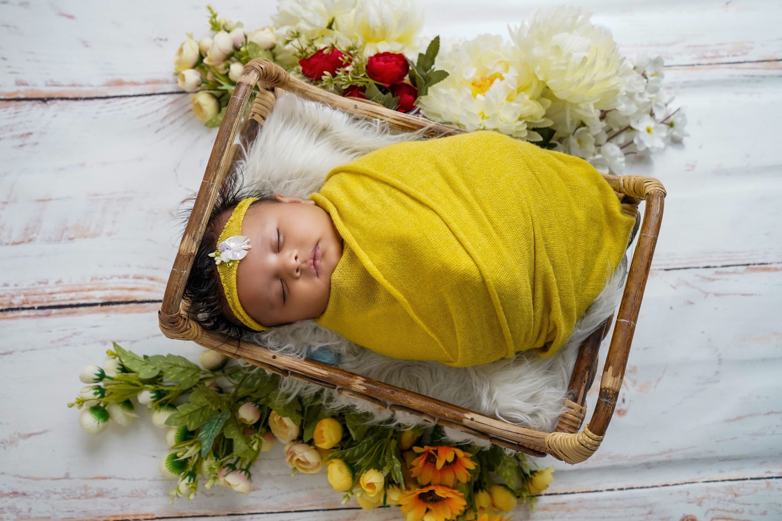 New born. TNF photo & filming