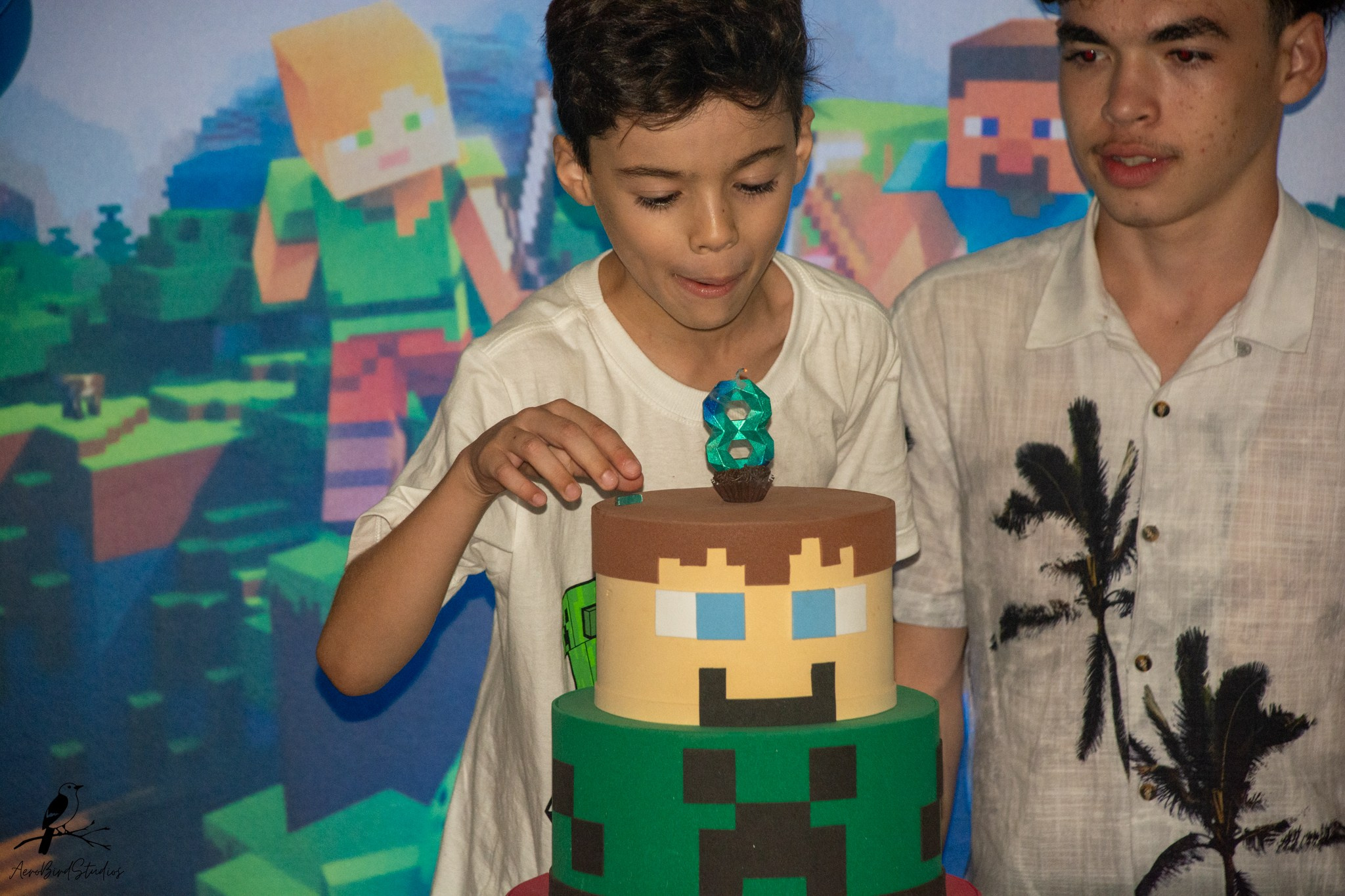 Leonardo 8 ano. AerobirdStudios