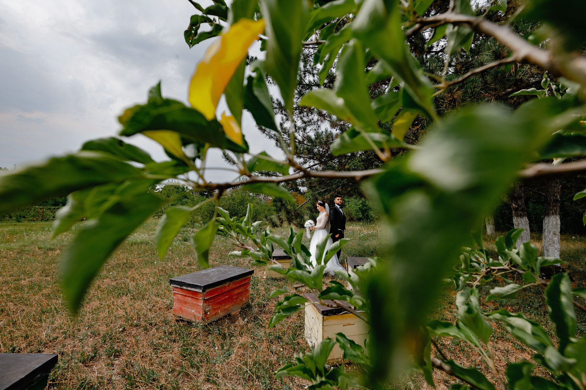 Stefan — Roxana. Φωτογράφος και βιντεογράφος γάμου