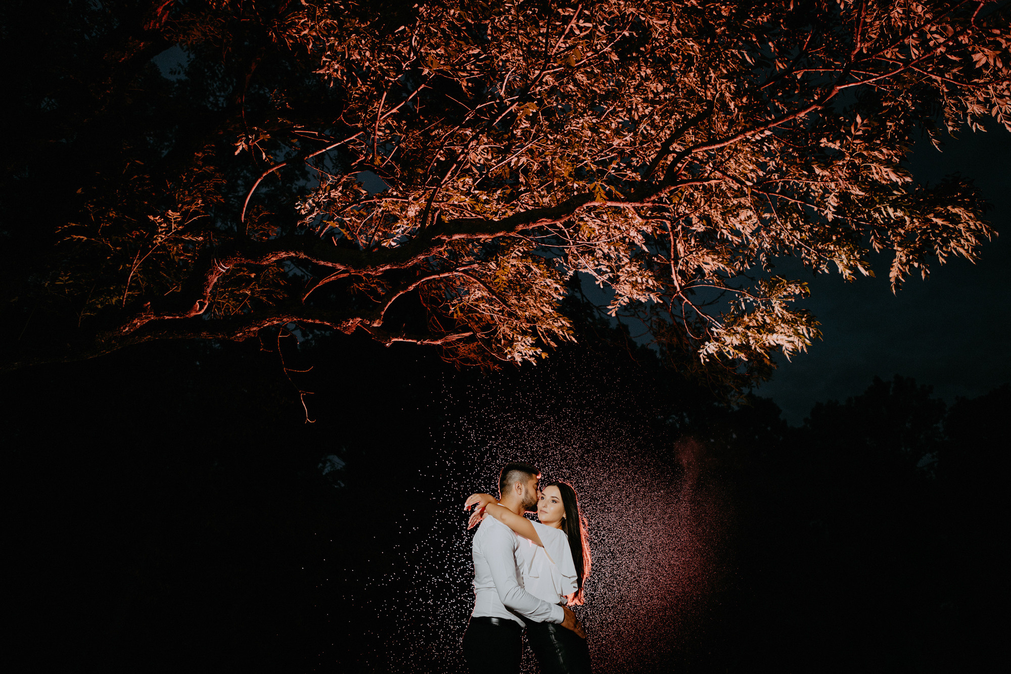 Stefan — Roxana. Φωτογράφος και βιντεογράφος γάμου