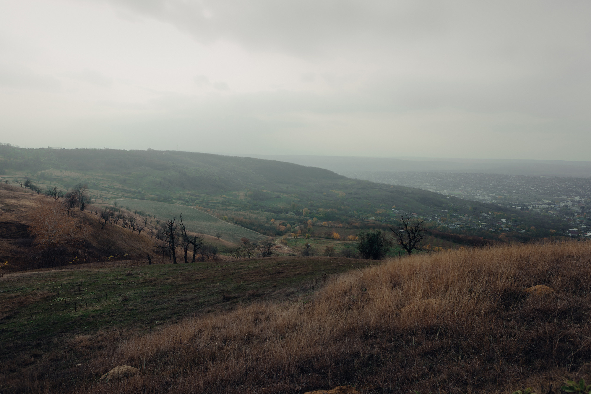 Grigore — Ana. Φωτογράφος και βιντεογράφος γάμου
