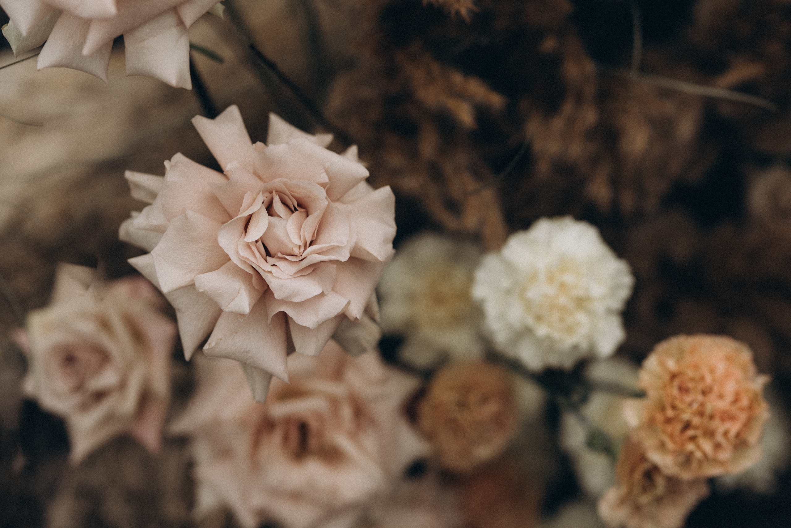 Magda. Wedding and potrait photographer in Helsinki Vickan O