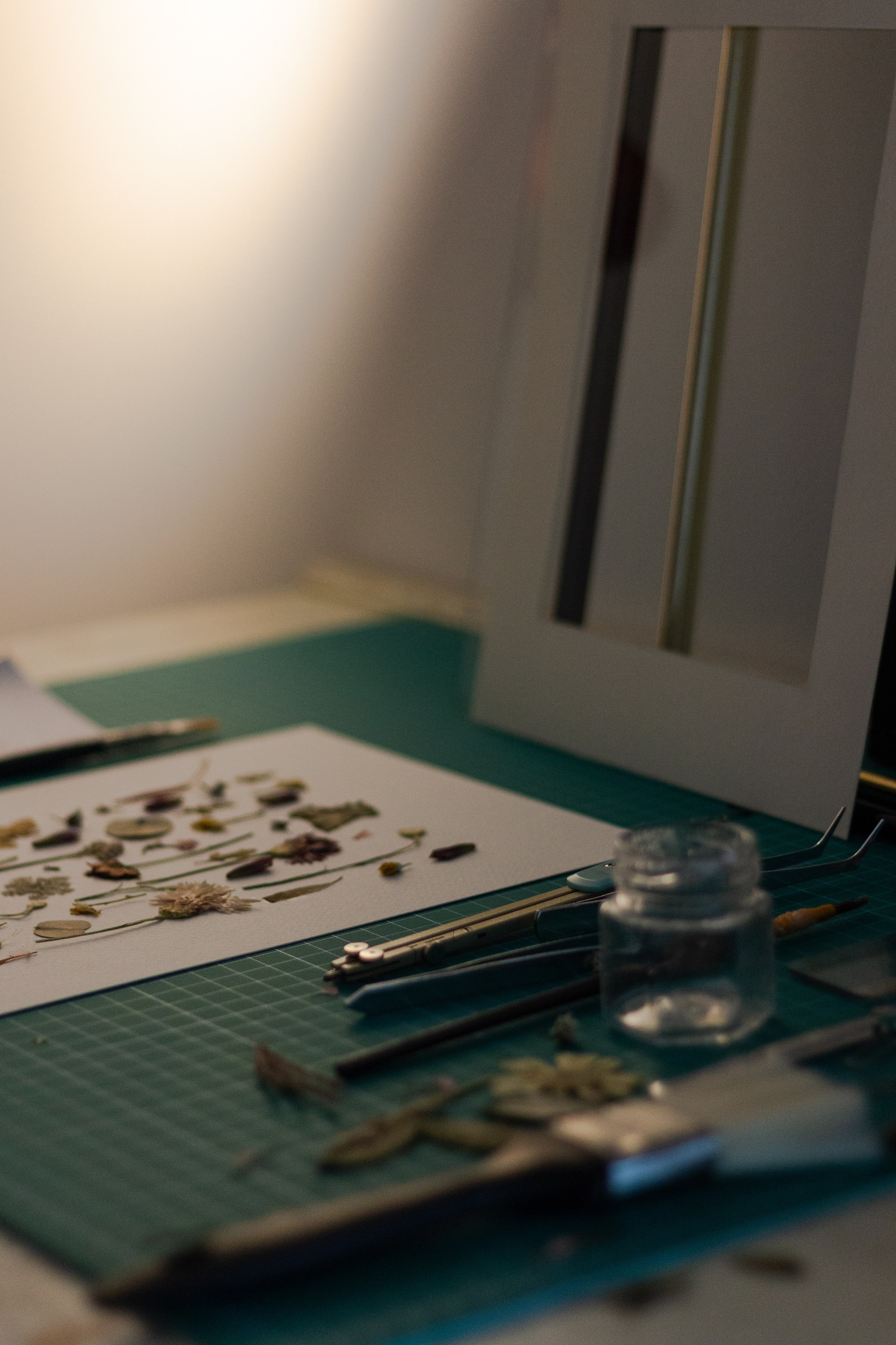 Portfolio. Herbarij studio